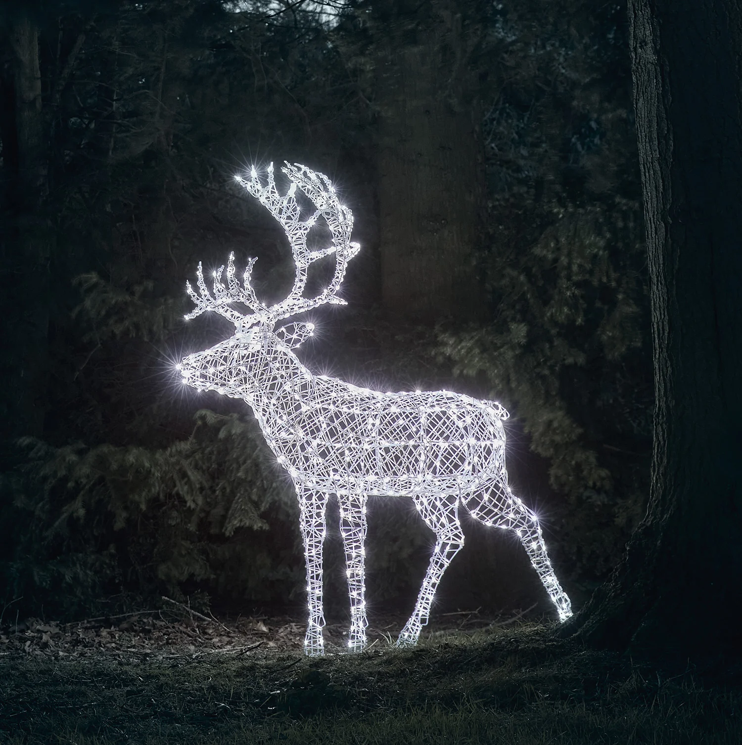 1.8m XL Solar Powered Arkendale Reindeer - Image 3