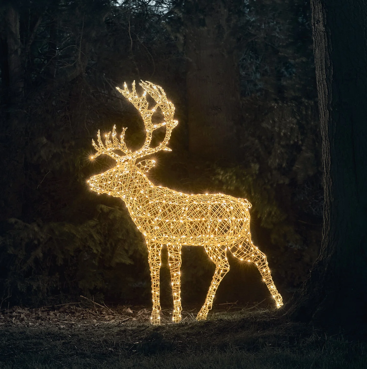1.8m XL Solar Powered Arkendale Reindeer - Image 4