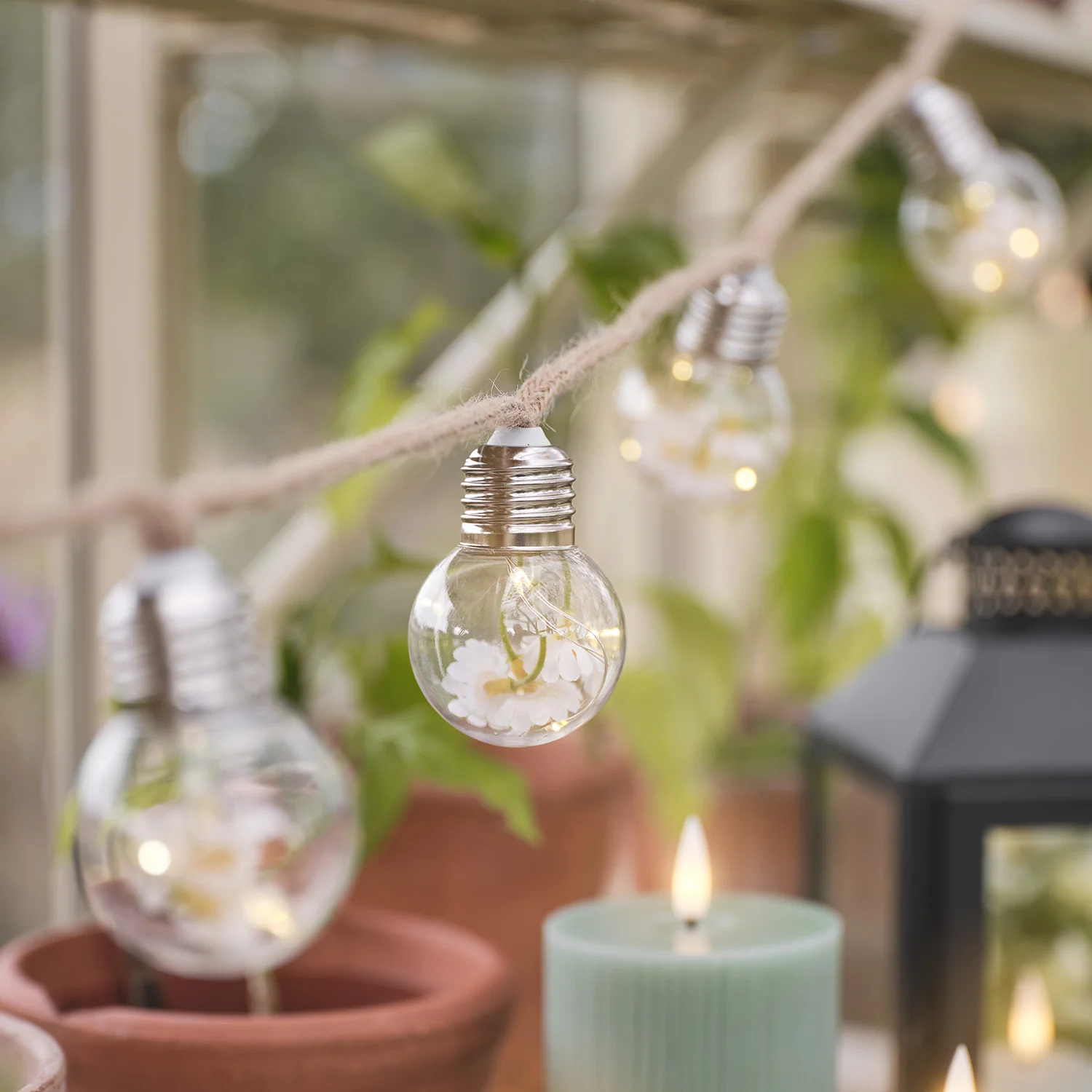 10 Daisy Micro Battery Festoon Lights - Image 6