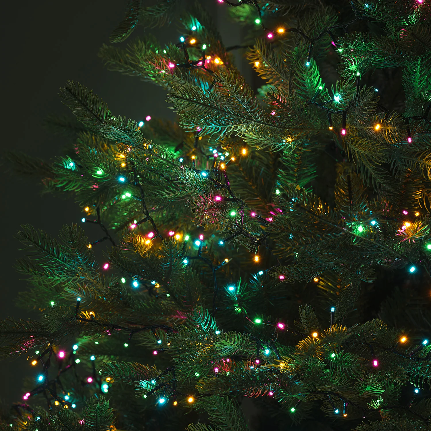 1000 Soft Multi Coloured LED Compact Lights - Image 2