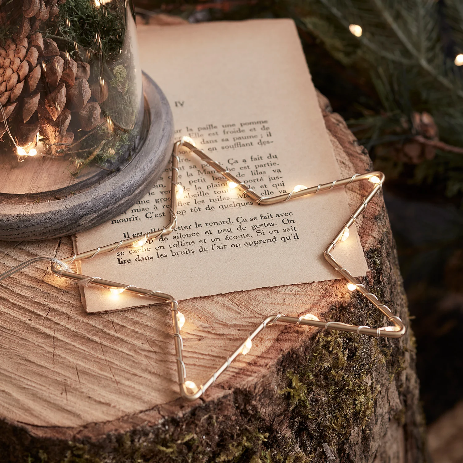 15cm Gold Osby Star Light Duo - Image 4