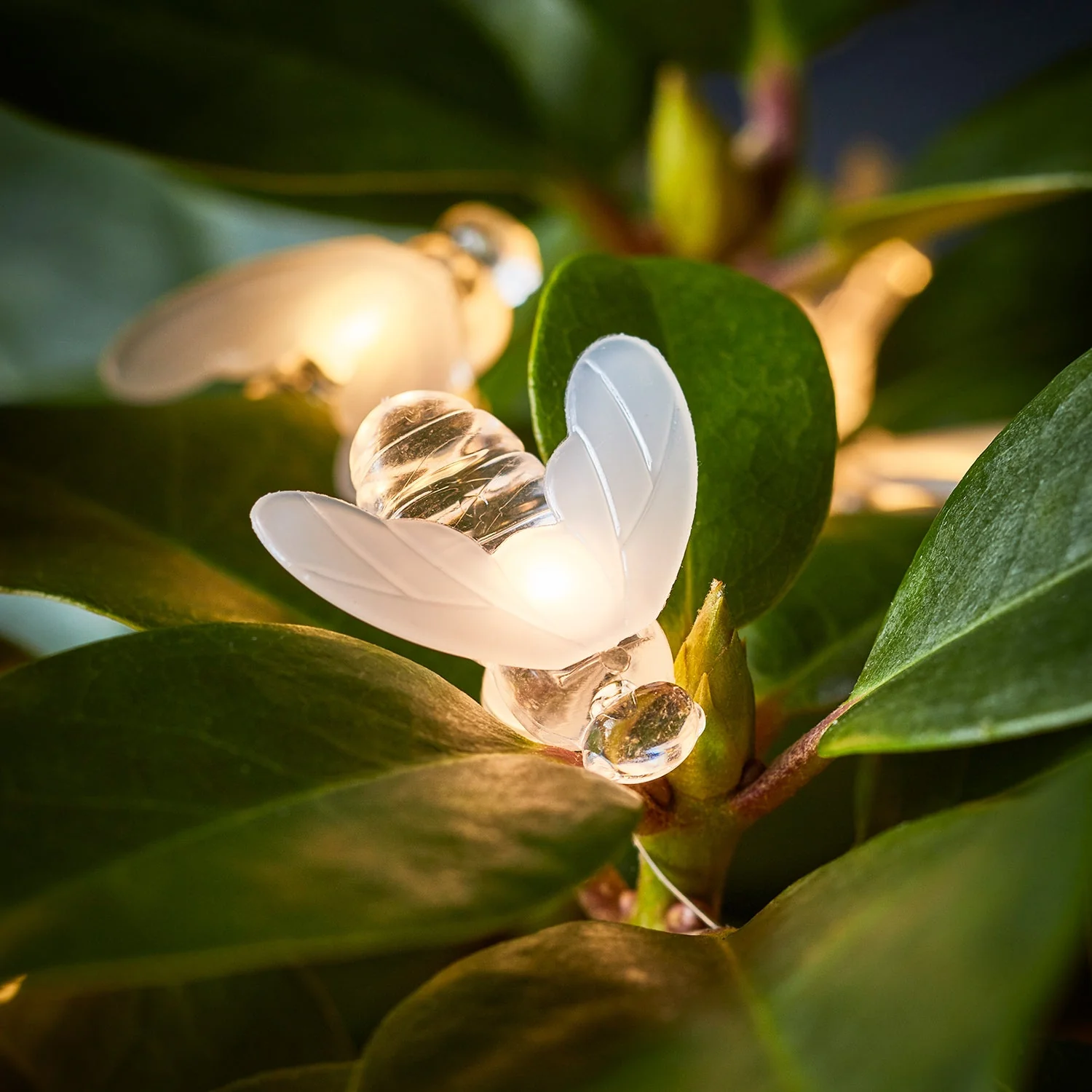 20 Bee Outdoor Micro Fairy Lights - Image 2