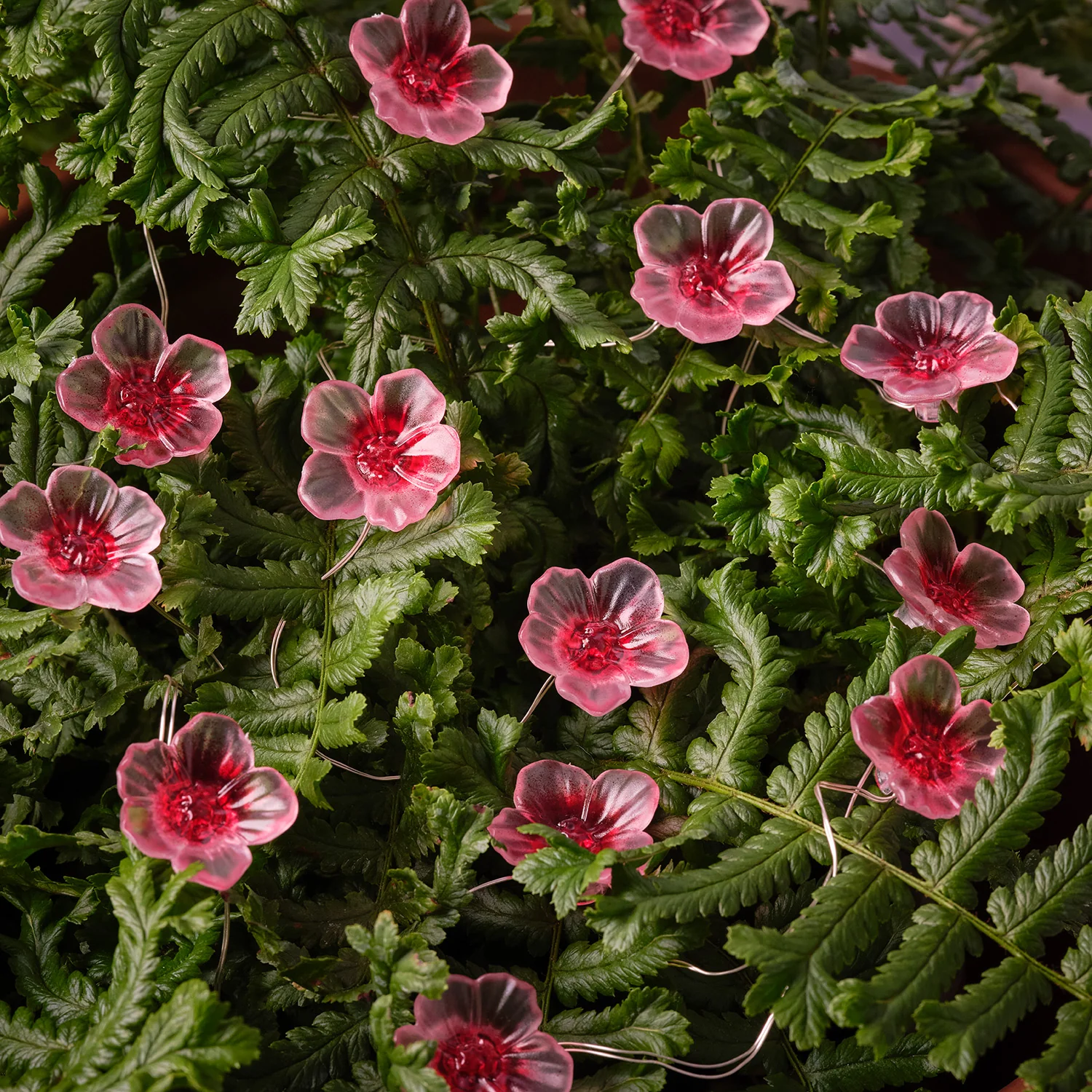 20 Blossom Flower LED Micro Lights - Image 6