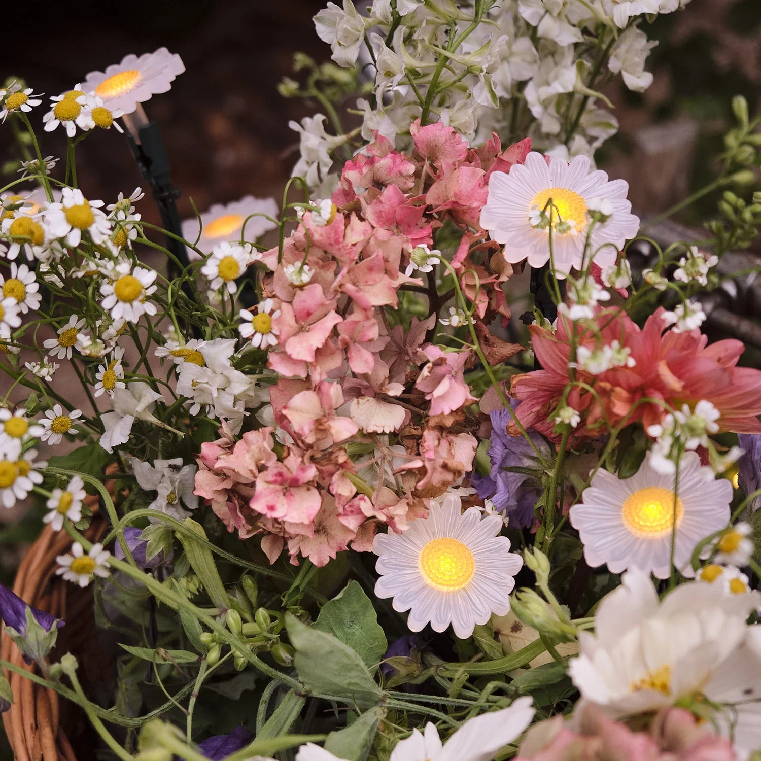 20 Daisy Outdoor Micro Fairy Lights - Image 3