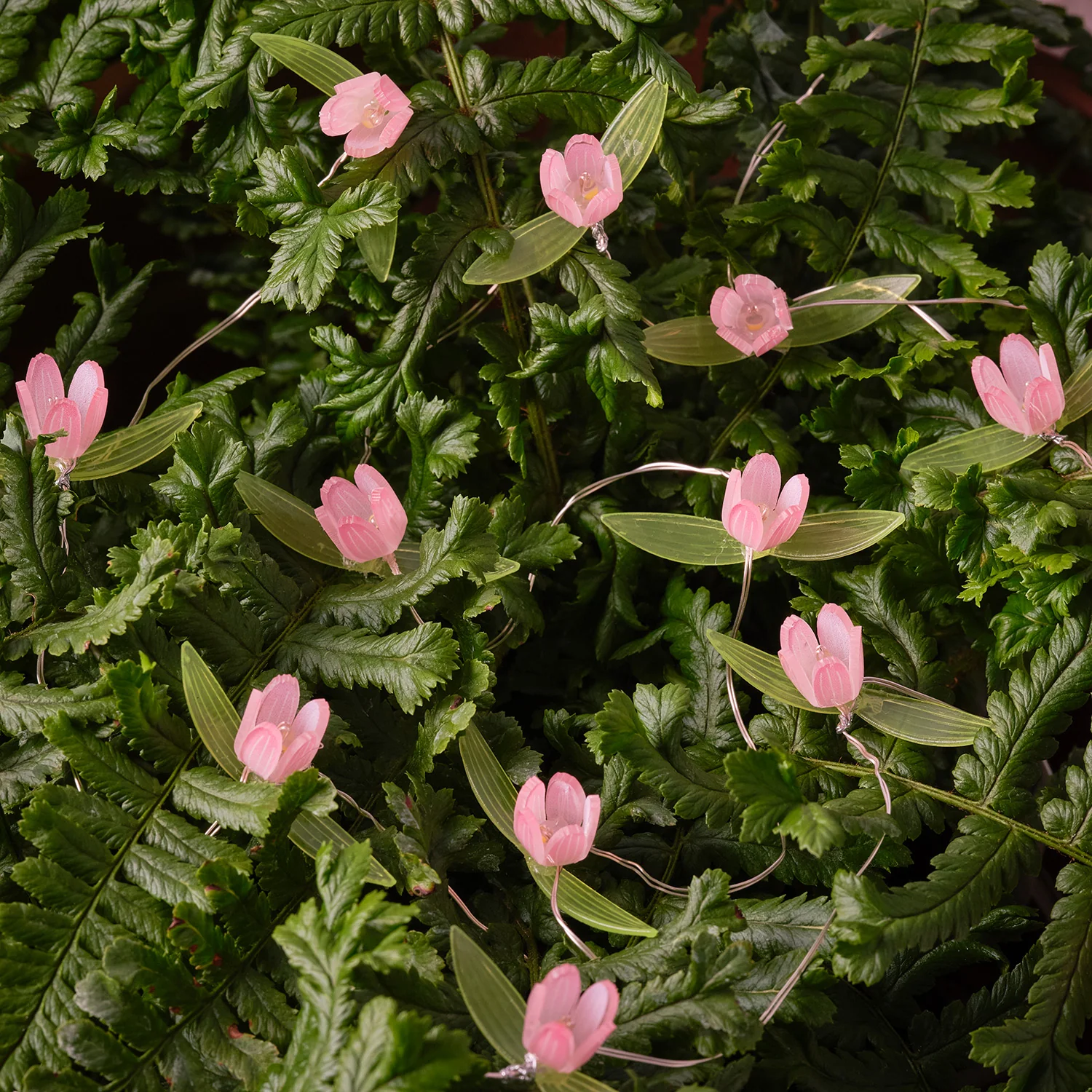 20 Mini Rose LED Micro Lights - Image 6
