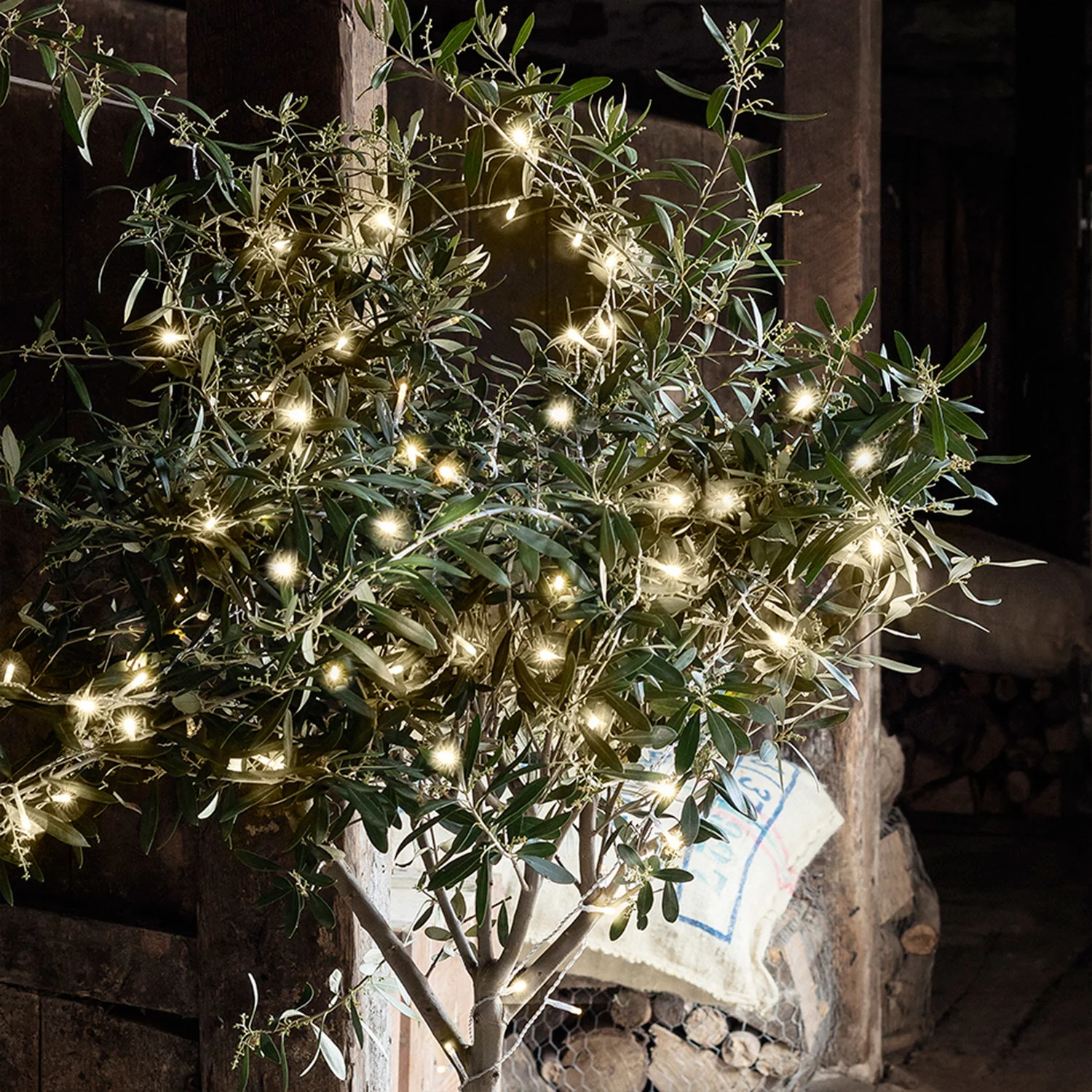 200 Warm White LED Outdoor Battery Fairy Lights On Clear Cable - Image 4