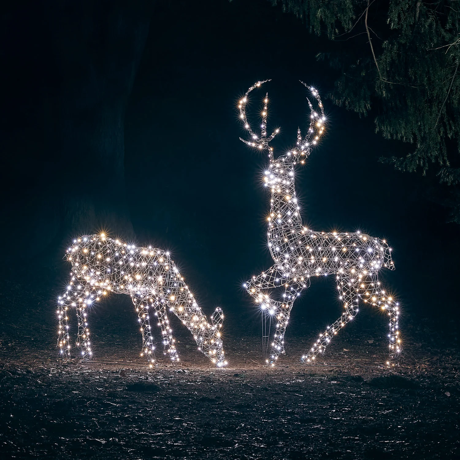 2m Studley Rattan Stag Dual Colour LED Light Up Reindeer - Image 8