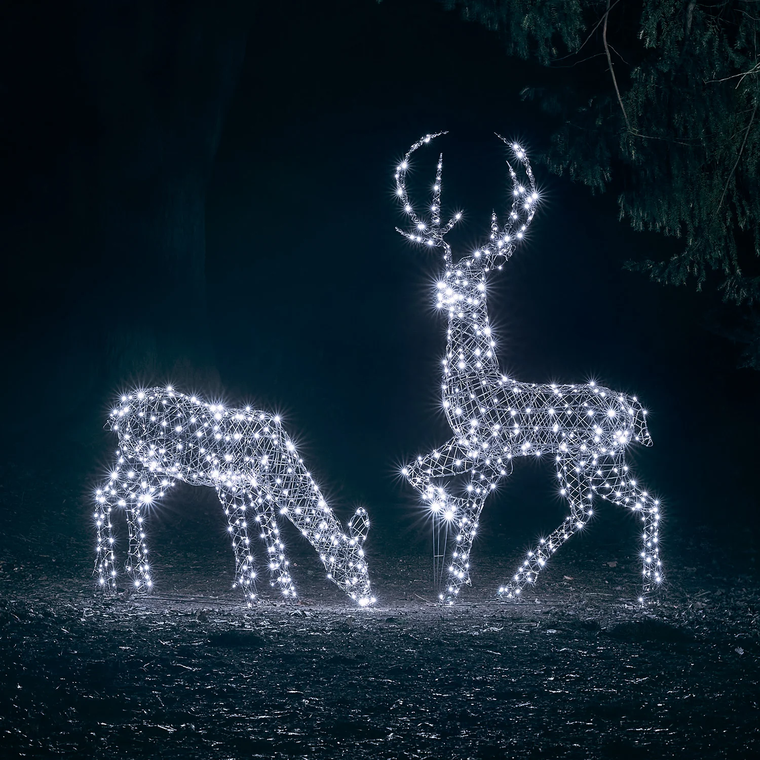 2m Studley Rattan Stag Dual Colour LED Light Up Reindeer - Image 9
