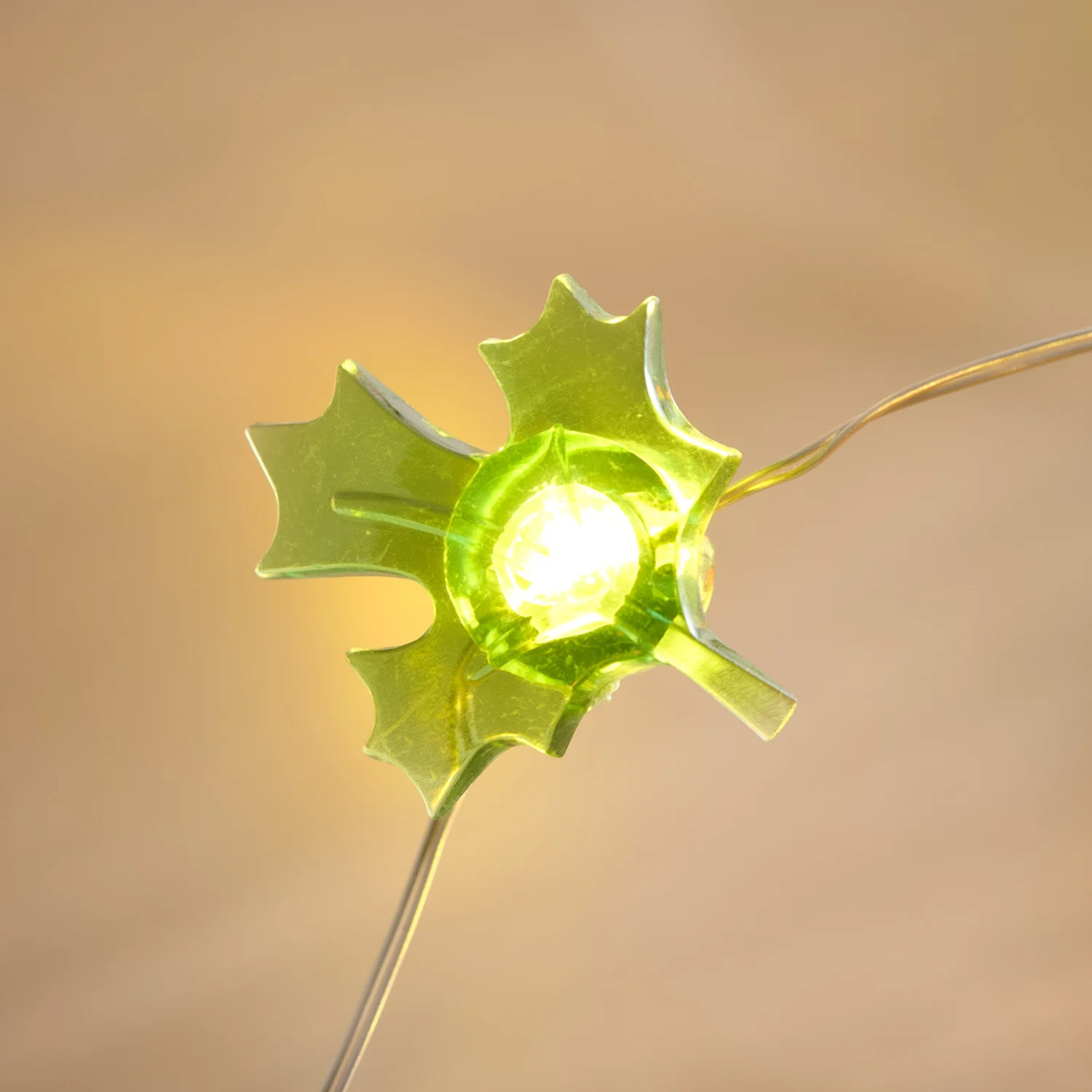 30 Autumnal Micro LED String Lights - Image 4