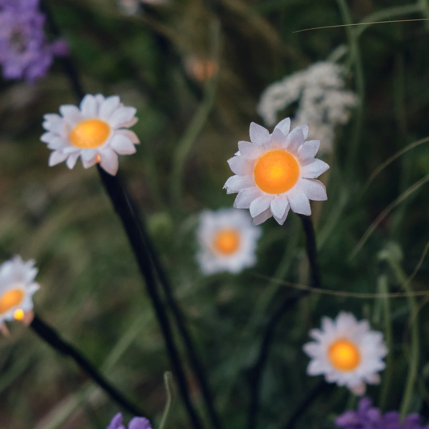 30 LED Daisy Solar Stake Lights - Image 4