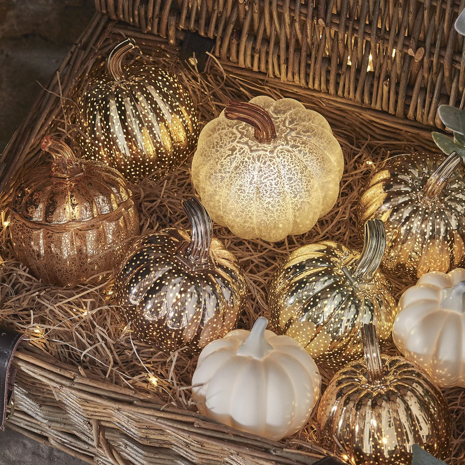 Antique White Pumpkin - Image 6