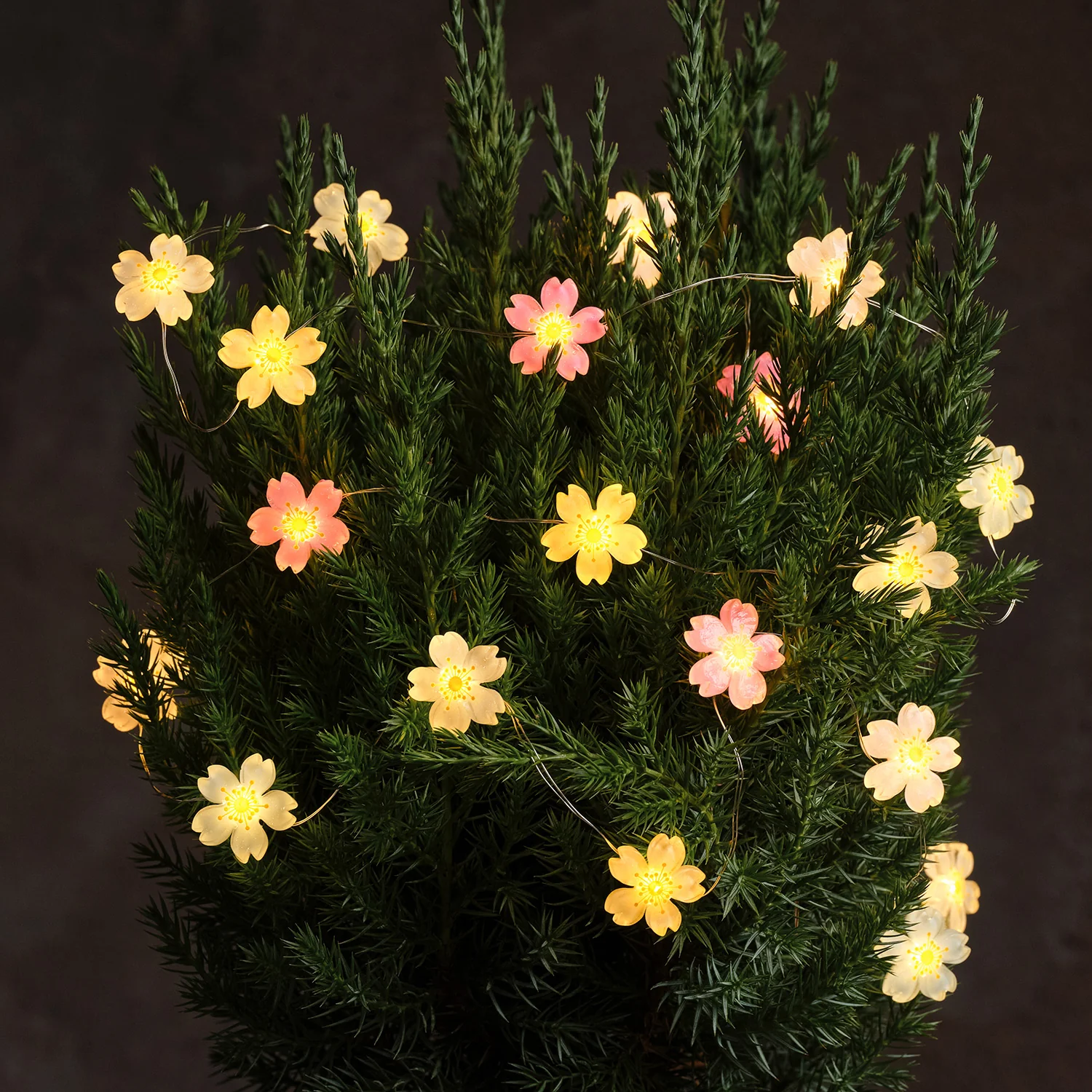 Pastel Flower Micro Lights - Image 3