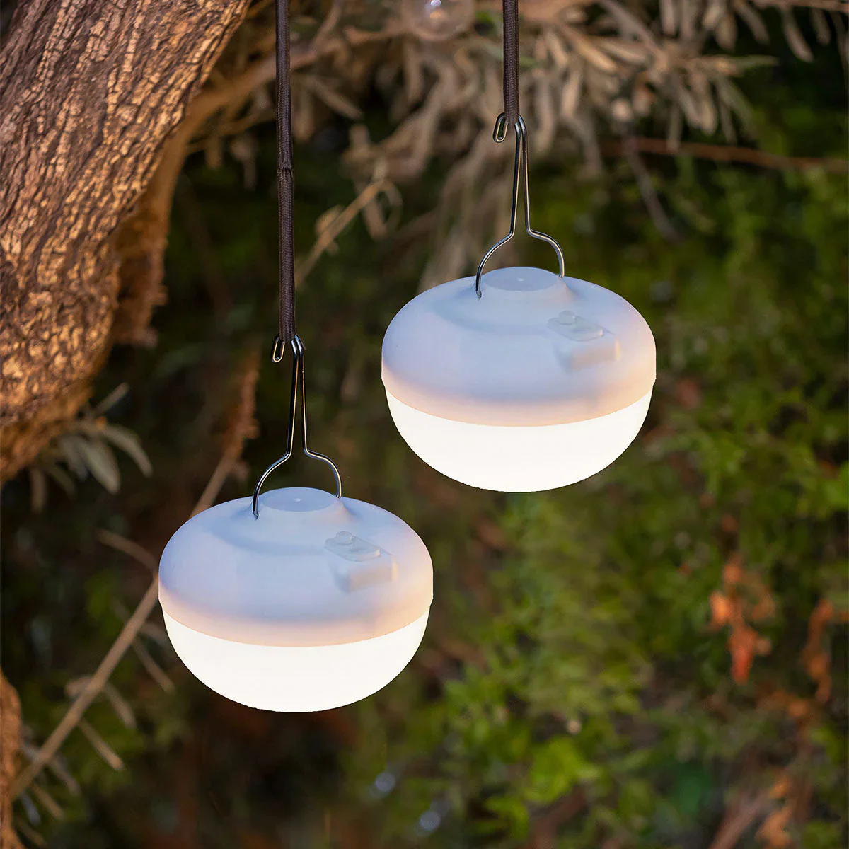 Cherry Bulb Beige - Image 7