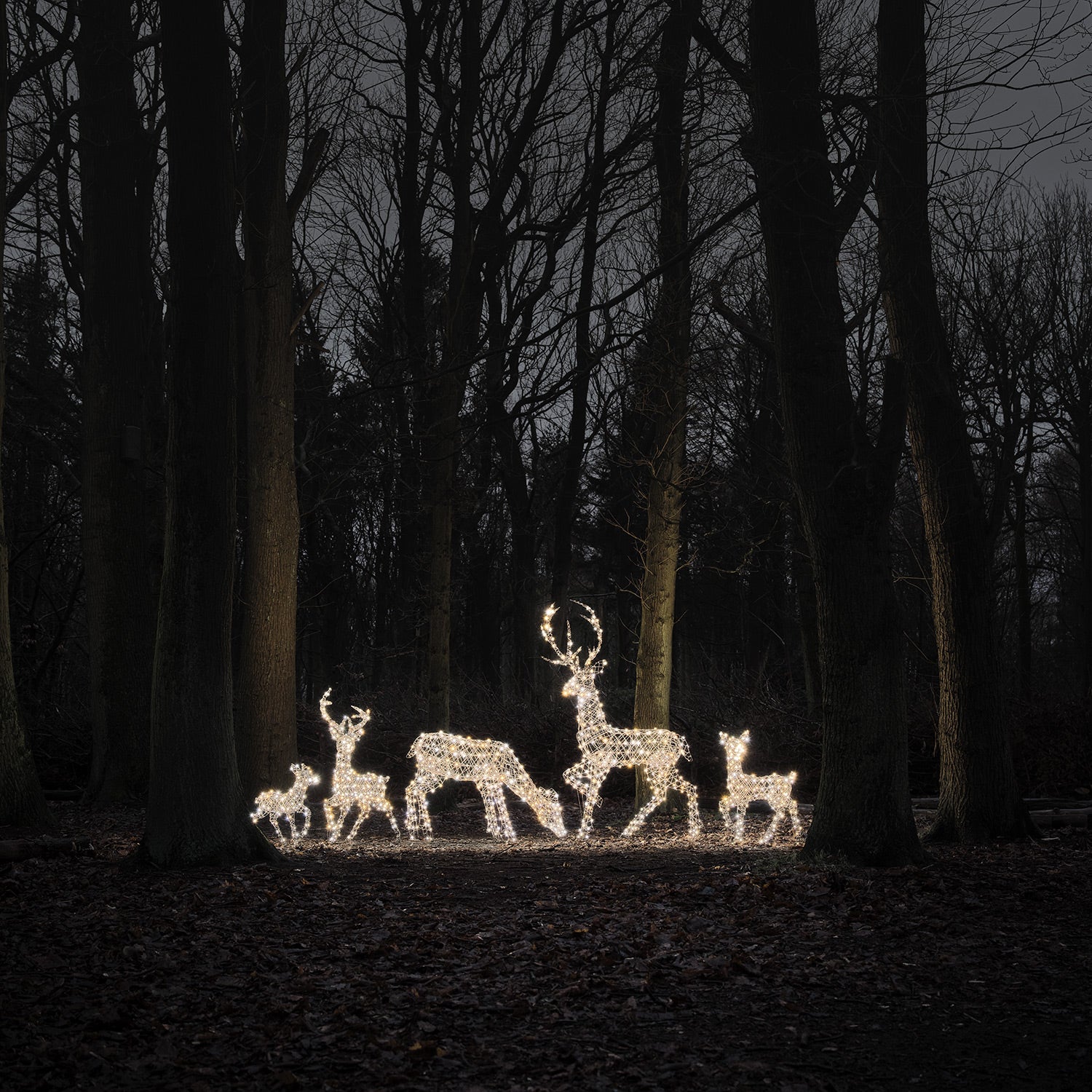 Dual LED Studley Light Up Reindeer Family - Image 10