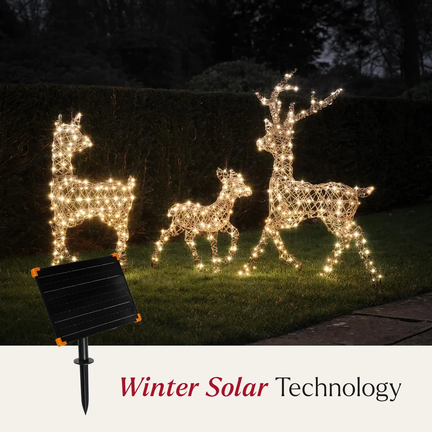 Solar Powered  Studley Stag & Doe Dual Colour LED Light Up Reindeer Duo - Image 2