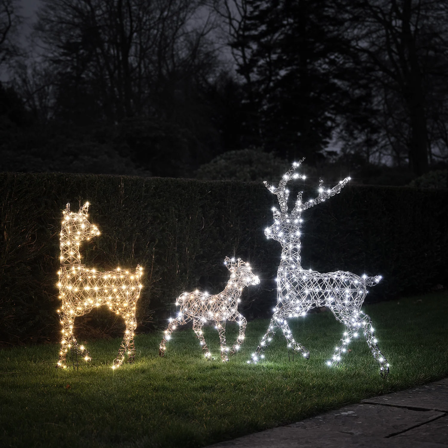 Dual LED Studley XL Light Up Reindeer Family - Image 7