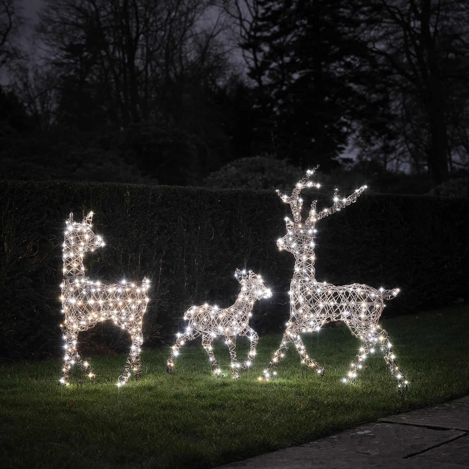 Dual LED Studley Light Up Reindeer Family - Image 2