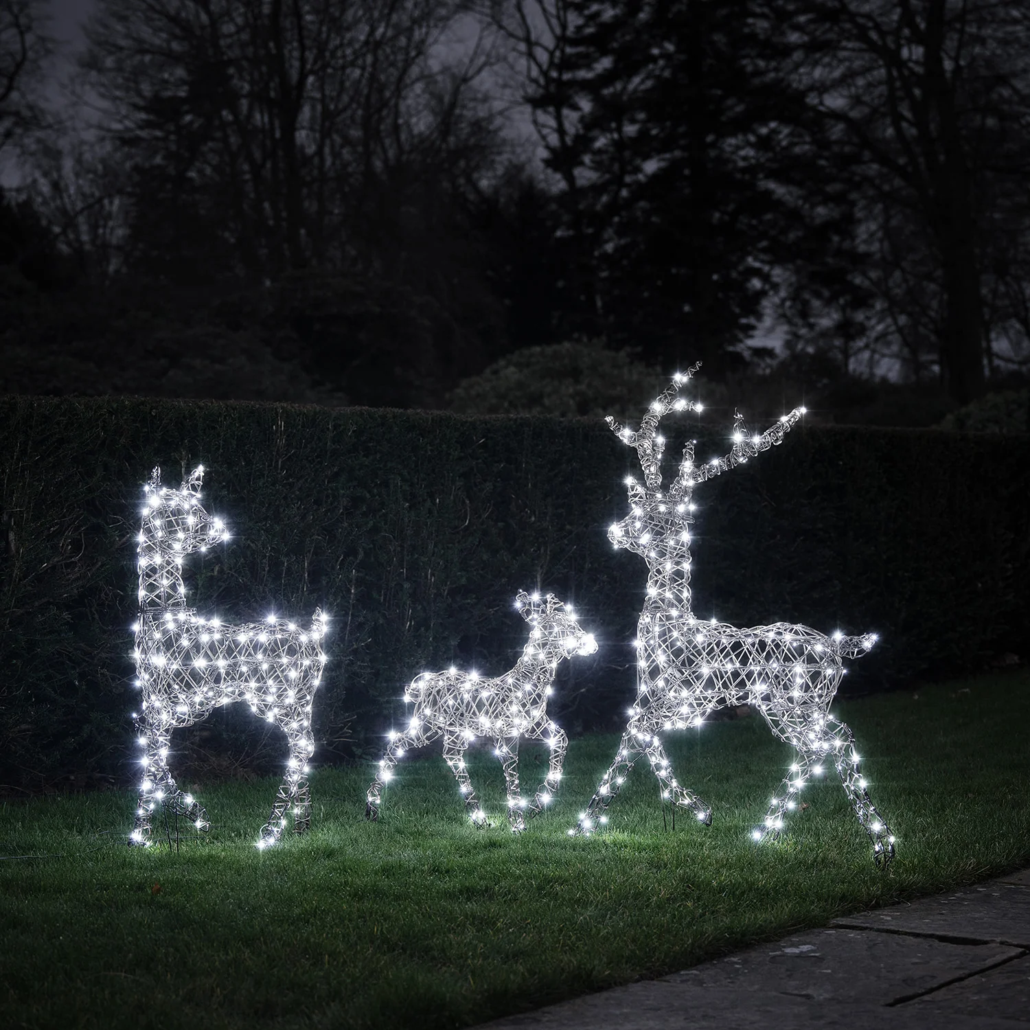 Dual LED Studley Light Up Reindeer Family - Image 3