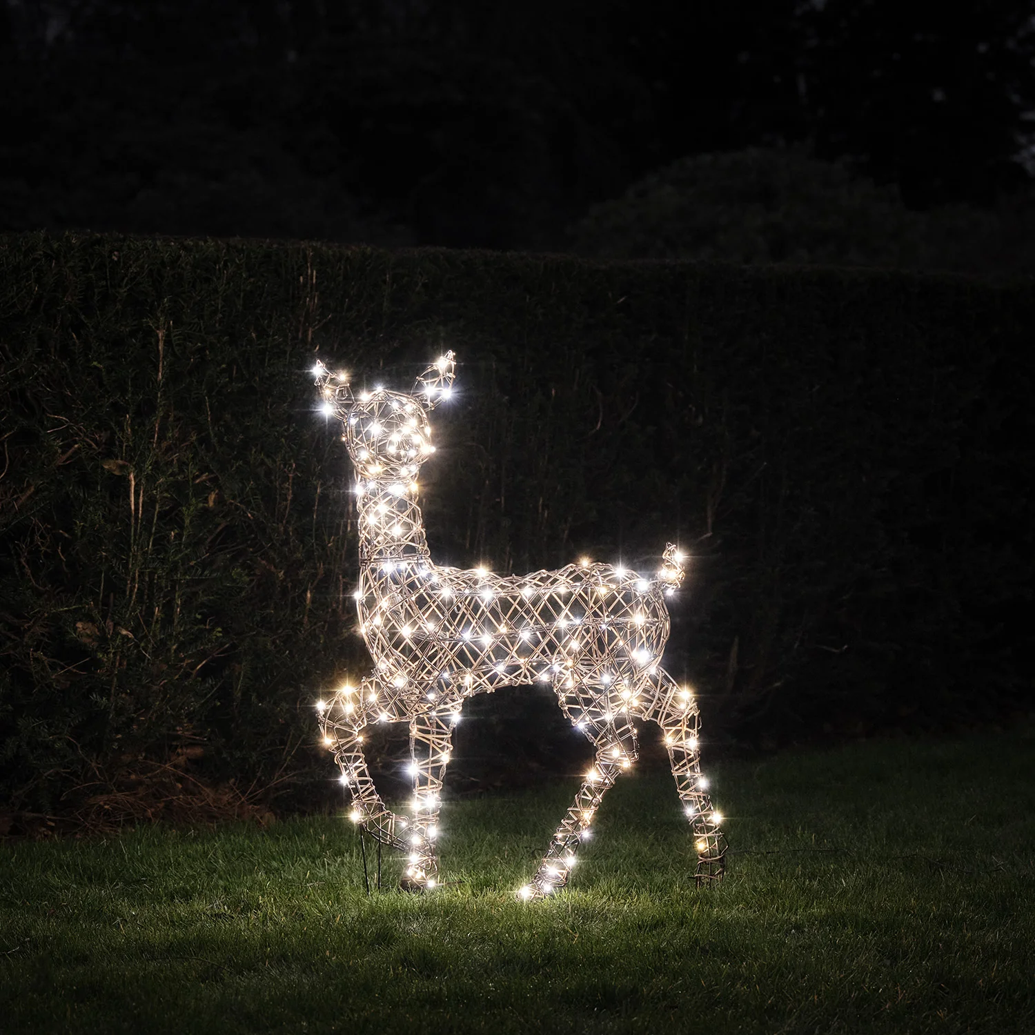 90cm Dual LED Studley Rattan Doe Light Up Reindeer - Image 2