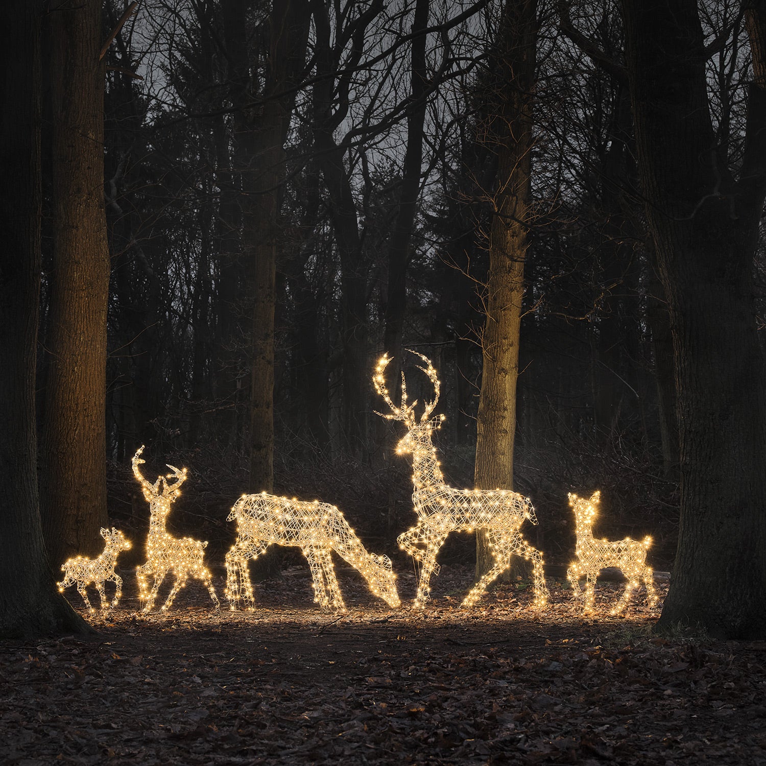 60cm Dual LED Studley Rattan Fawn Light Up Reindeer - Image 10