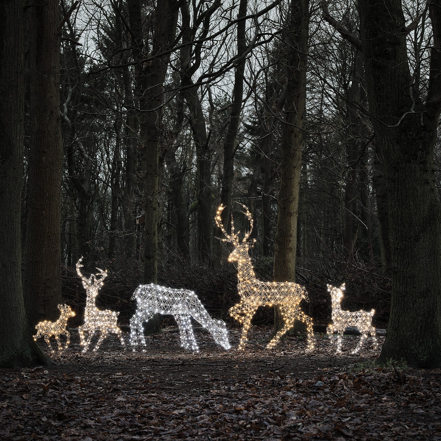 Dual LED Studley Stag & Doe Light Up Reindeer Duo - Image 10