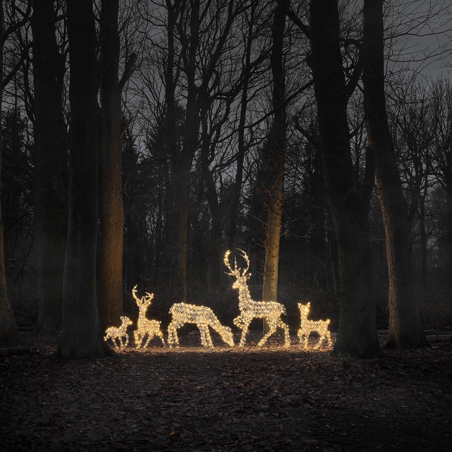 Dual LED Studley Stag & Doe Light Up Reindeer Duo - Image 9