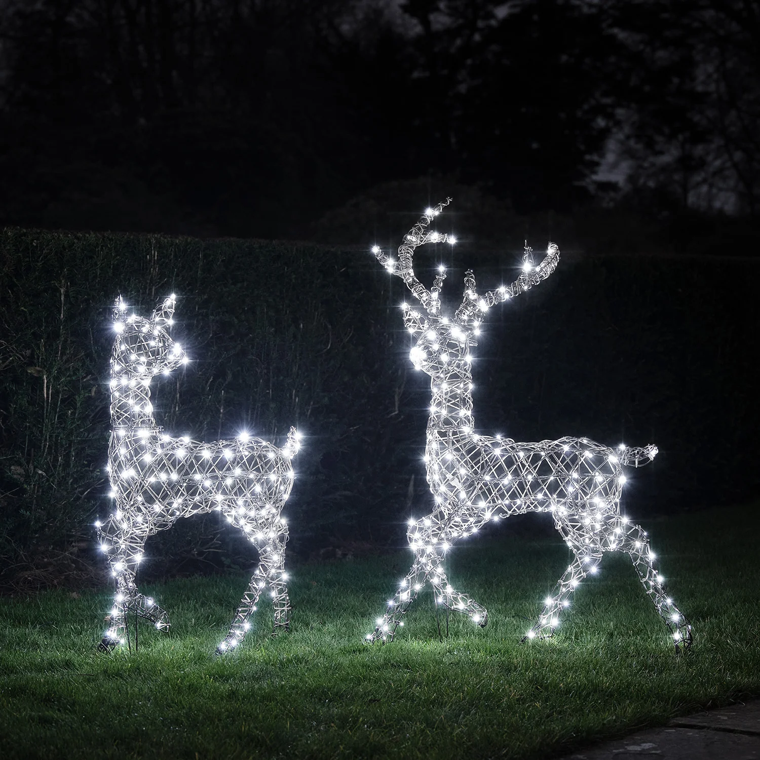 Dual LED Studley Stag & Doe Light Up Reindeer Duo - Image 3
