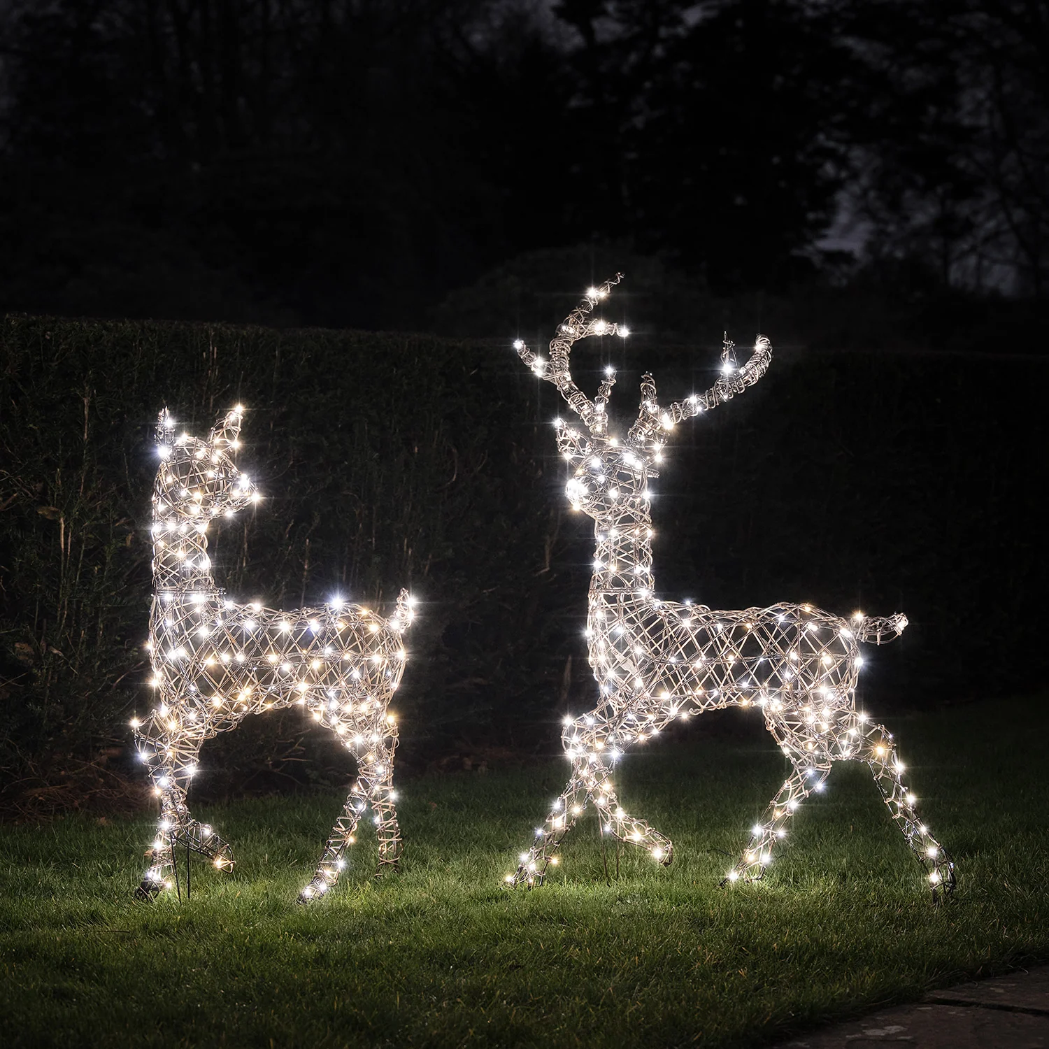 Dual LED Studley Stag & Doe Light Up Reindeer Duo - Image 2