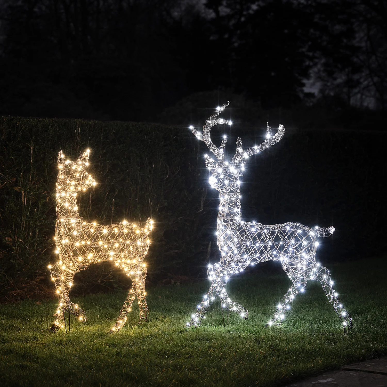 Dual LED Studley Stag & Doe Light Up Reindeer Duo - Image 4