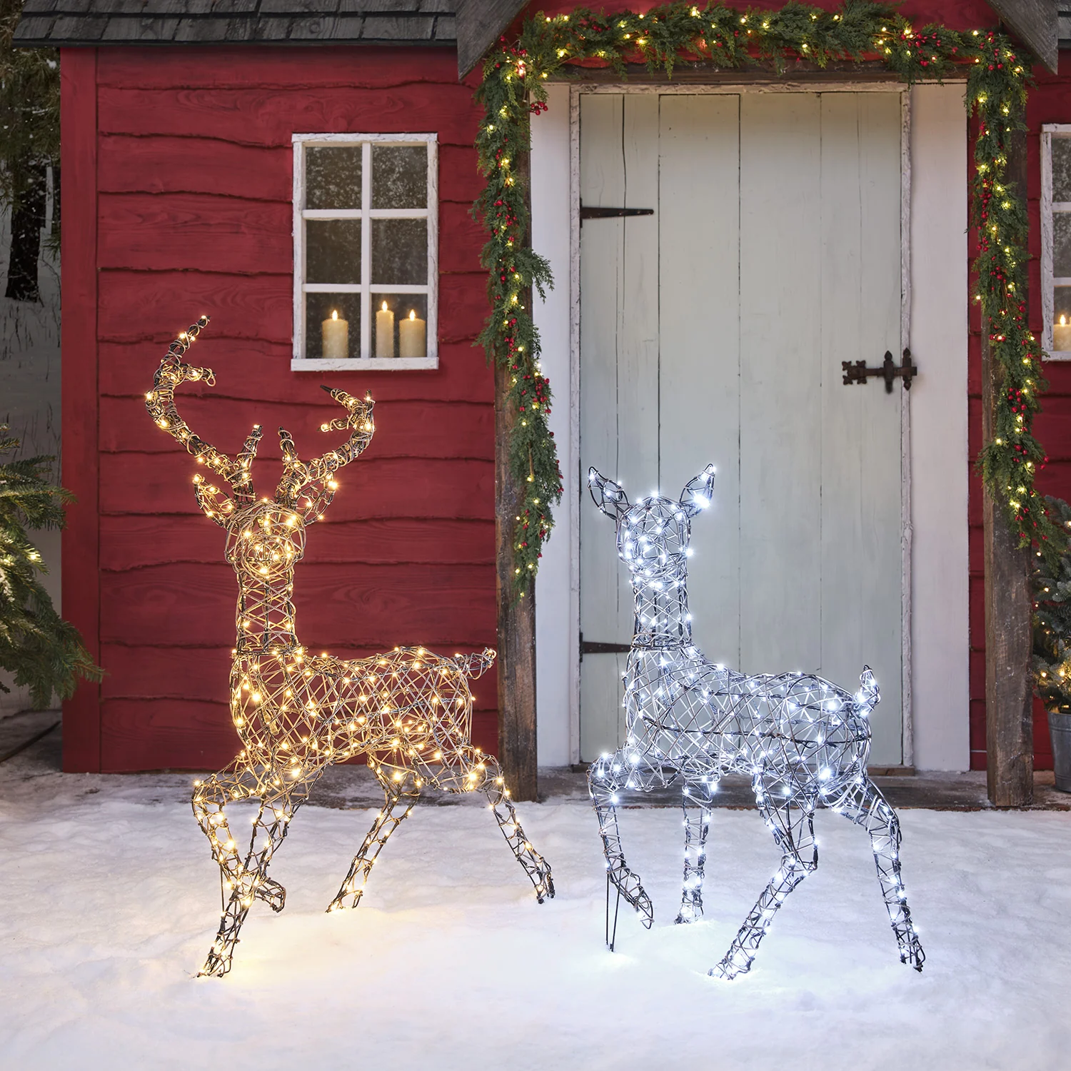 Dual LED Studley Stag & Doe Light Up Reindeer Duo - Image 5