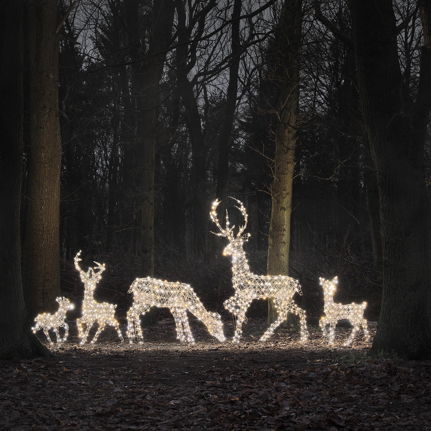 Dual LED Studley XL Light Up Reindeer Family - Image 2