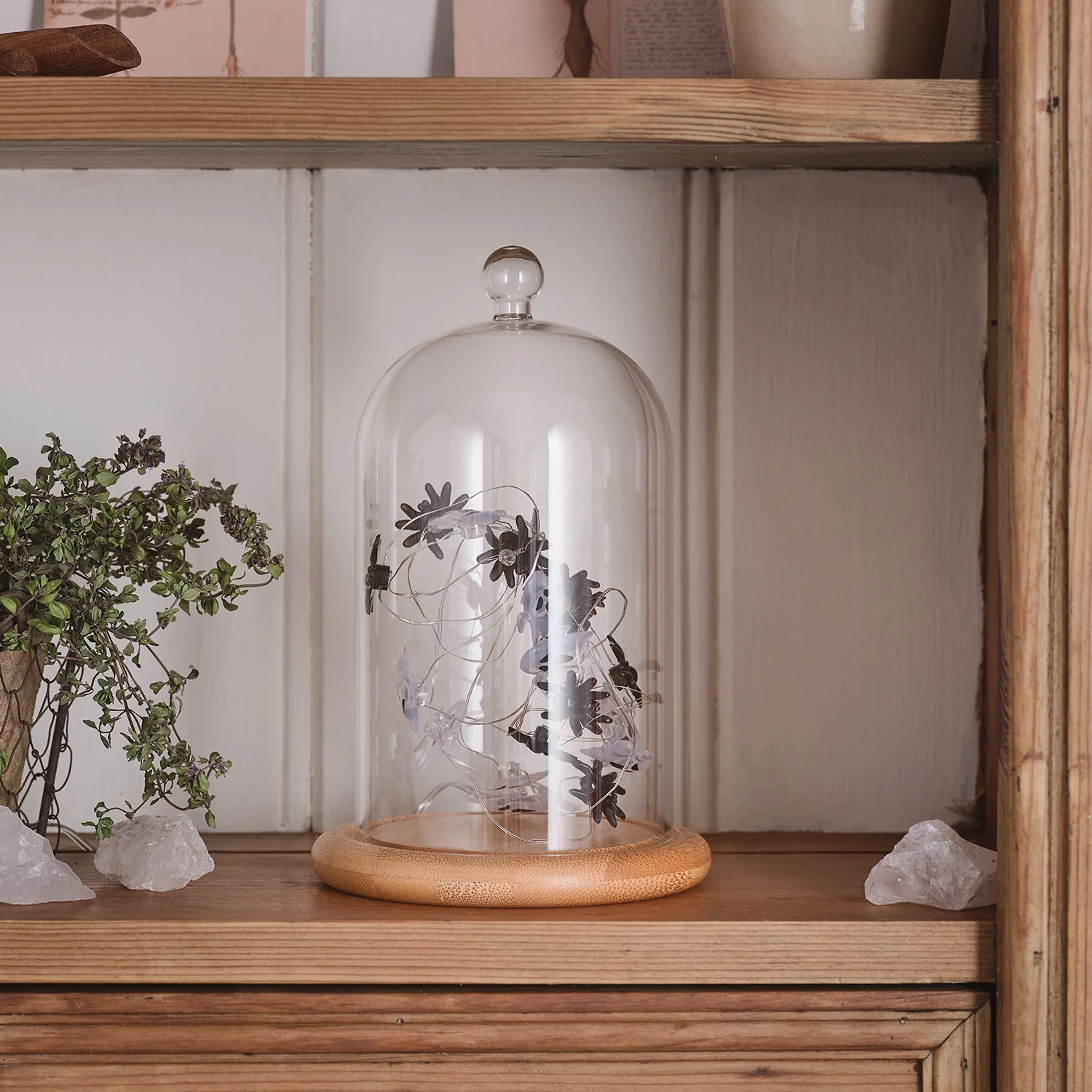 Glass Dome with Ghost & Spider LED Micro Lights - Image 2