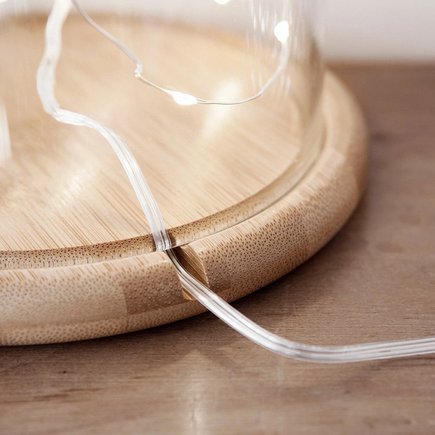 Regular Glass Dome Bell Jar 20cm - Image 5