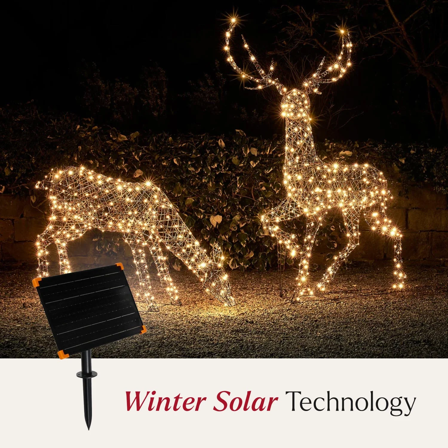 Large Solar Powered Studley Rattan Stag & Doe Dual Colour LED Light Up Reindeer - Image 2