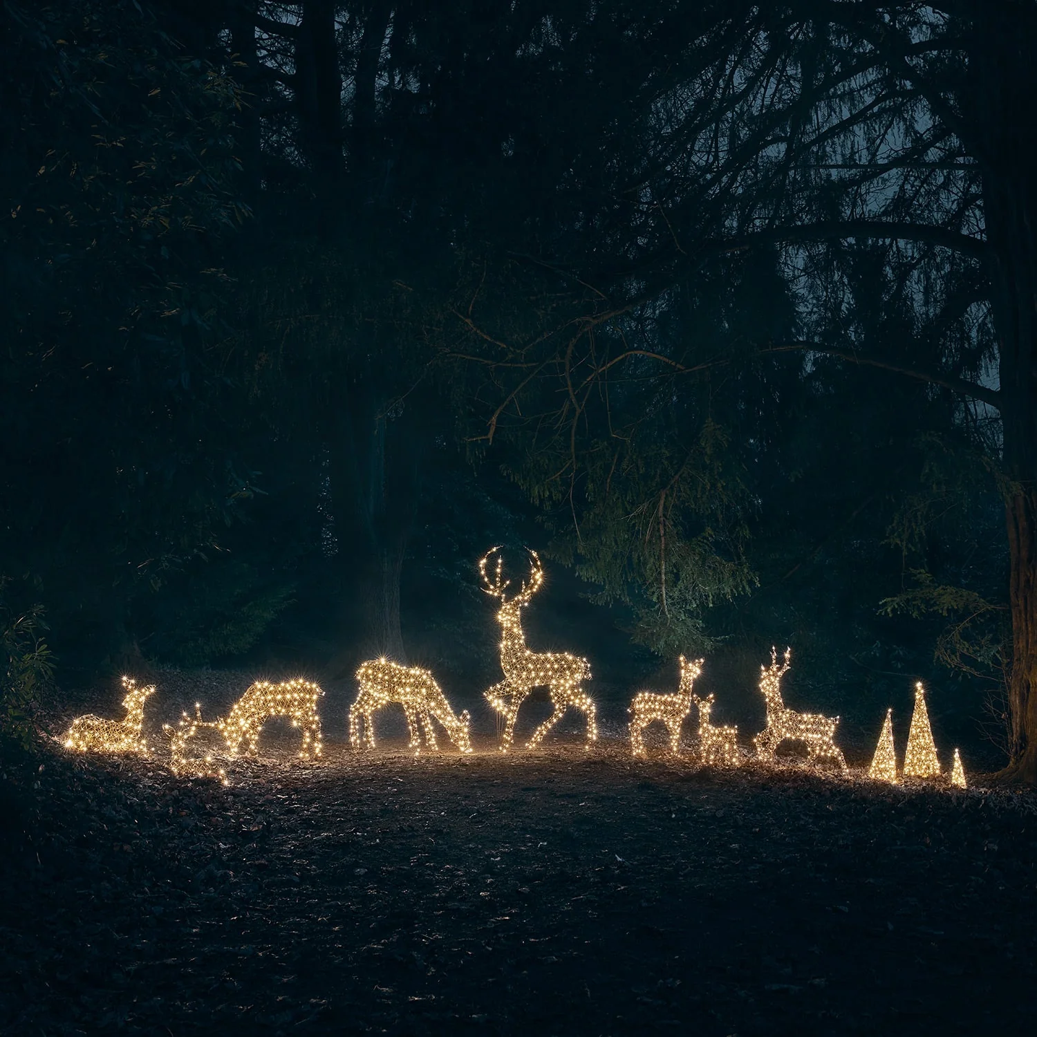 Large Studley Rattan Stag & Doe Dual Colour LED Light Up Reindeer 24v - Image 6
