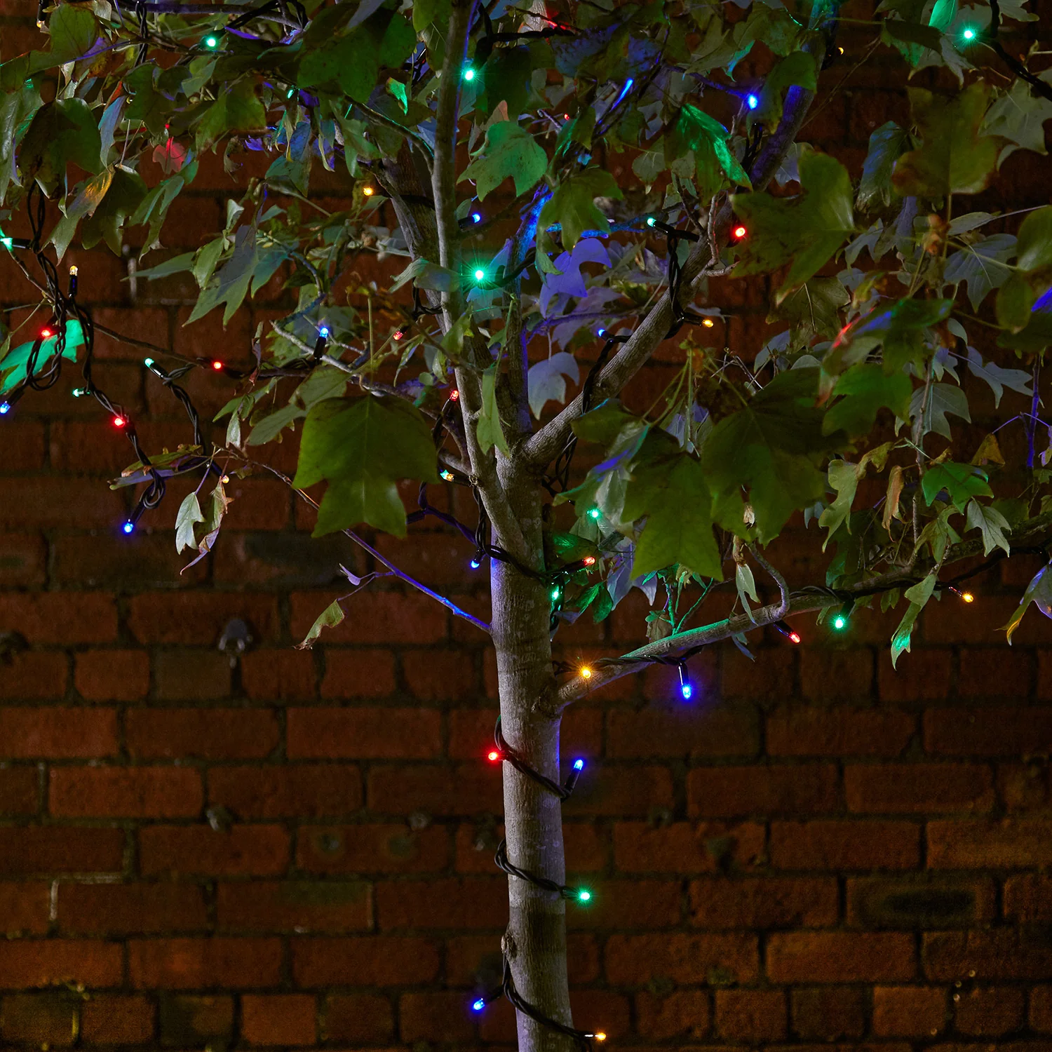 Plus Connect 80m 800 Multi Coloured Connectable Fairy Lights Black Cable - Image 5