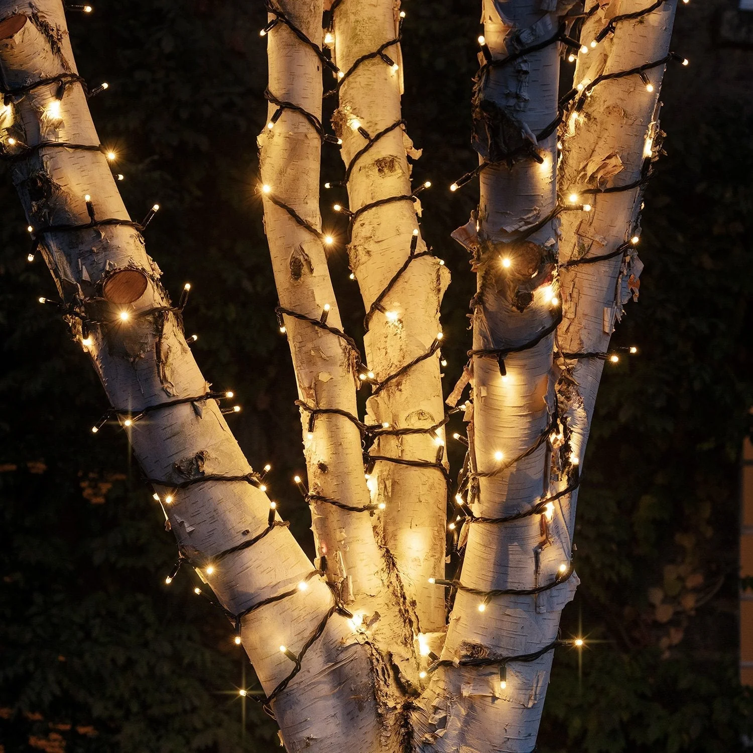 Pro Connect 175m 1750 Warm White Connectable String Lights Black Cable - Image 2