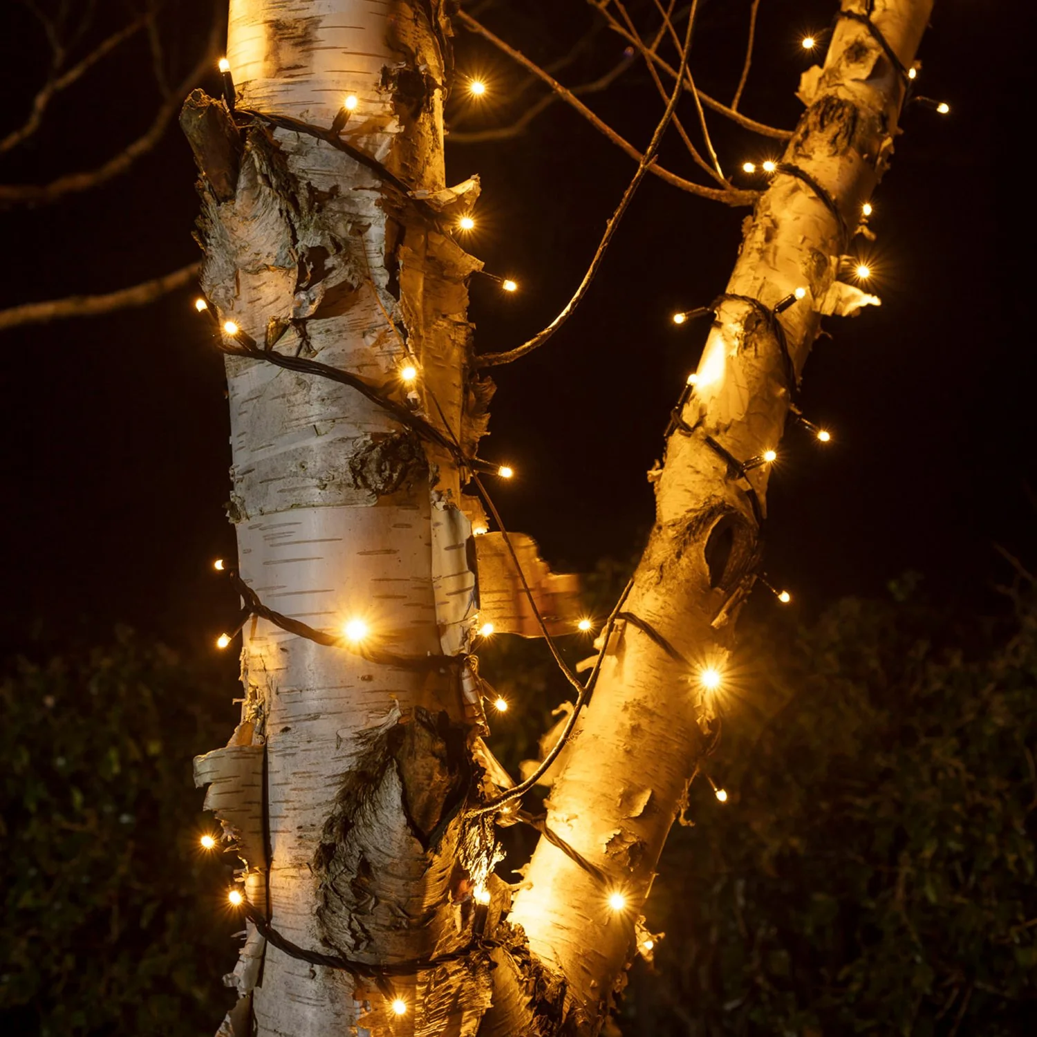 Pro Connect 190m 1900 Traditional Warm White Connectable String Lights Black Cable - Image 2