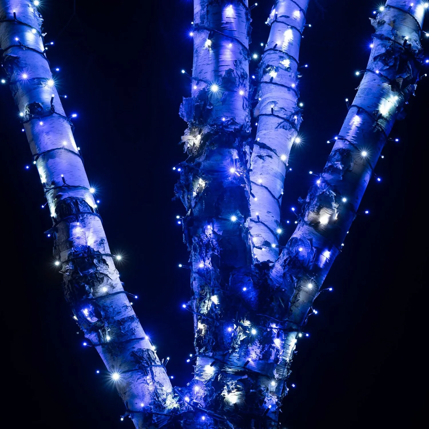Pro Connect 5m 50 Blue & White Connectable String Lights Black Cable - Image 2