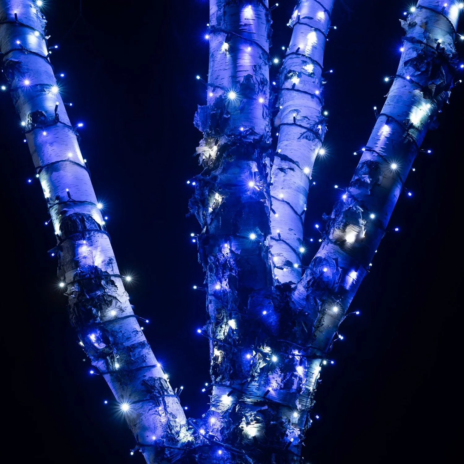 Pro Connect 80m 800 Blue & White Connectable String Lights Black Cable - Image 2