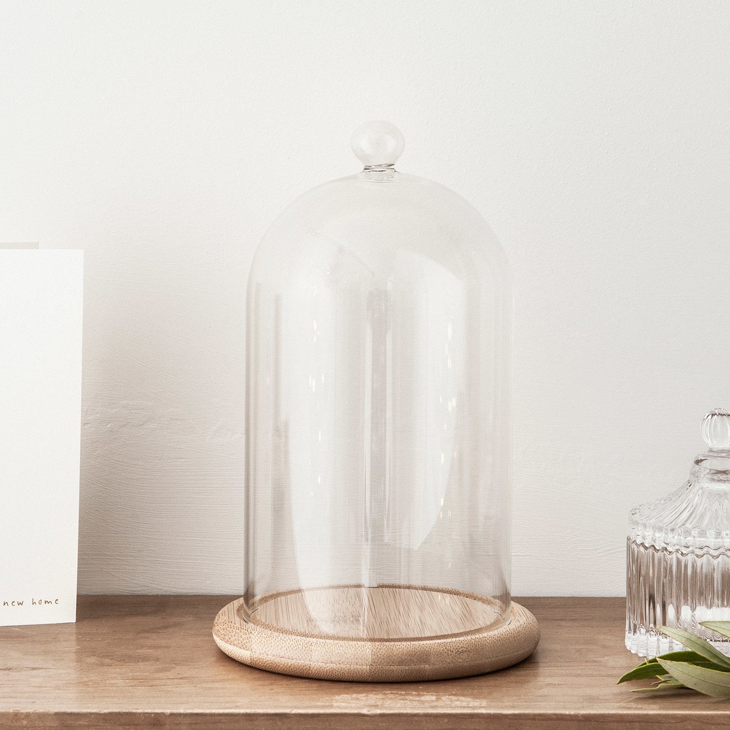 Regular Glass Dome Bell Jar 20cm - Image 3