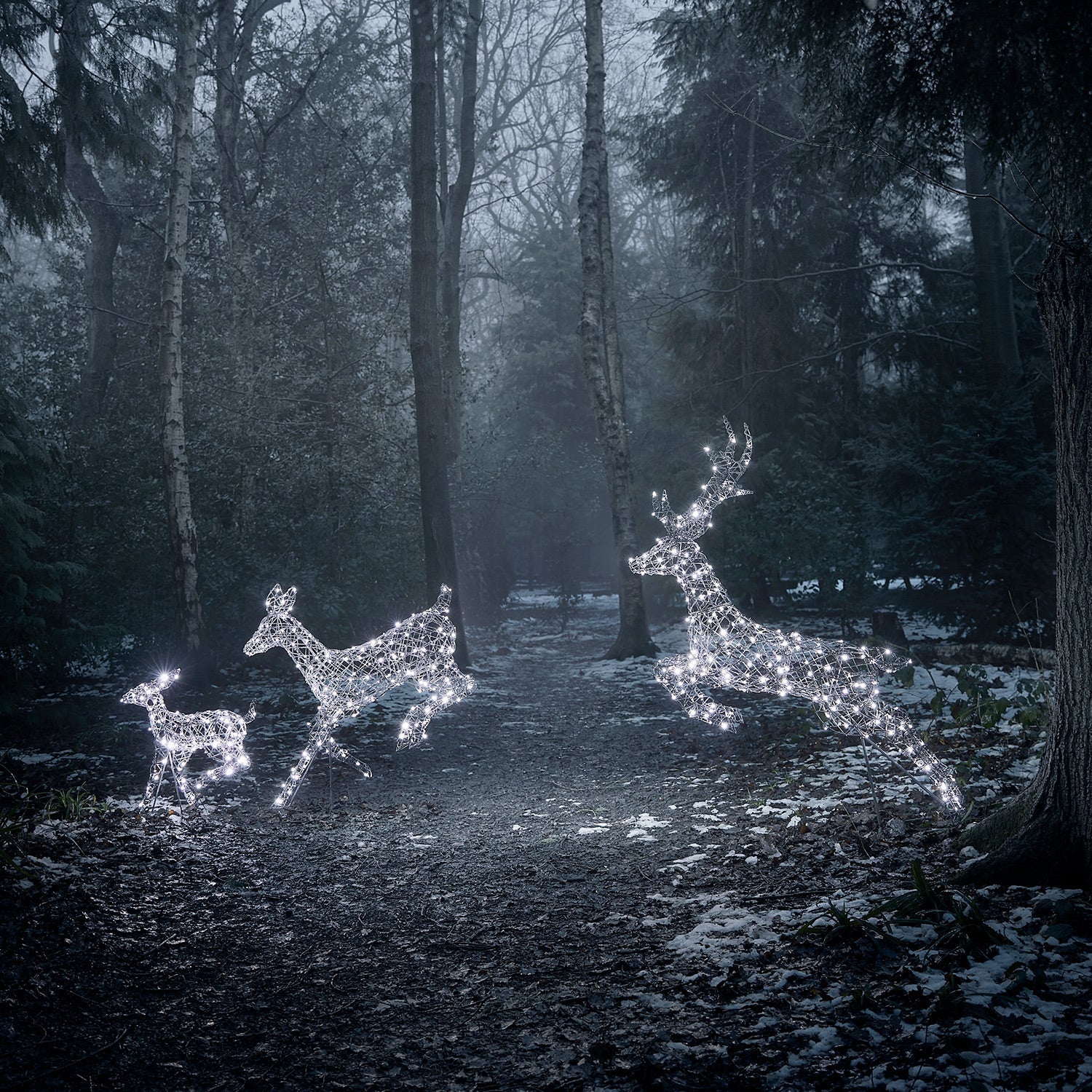 Set of 3 Regular Harlow Rattan Dual Colour LED Light Up Reindeer Family - Image 3