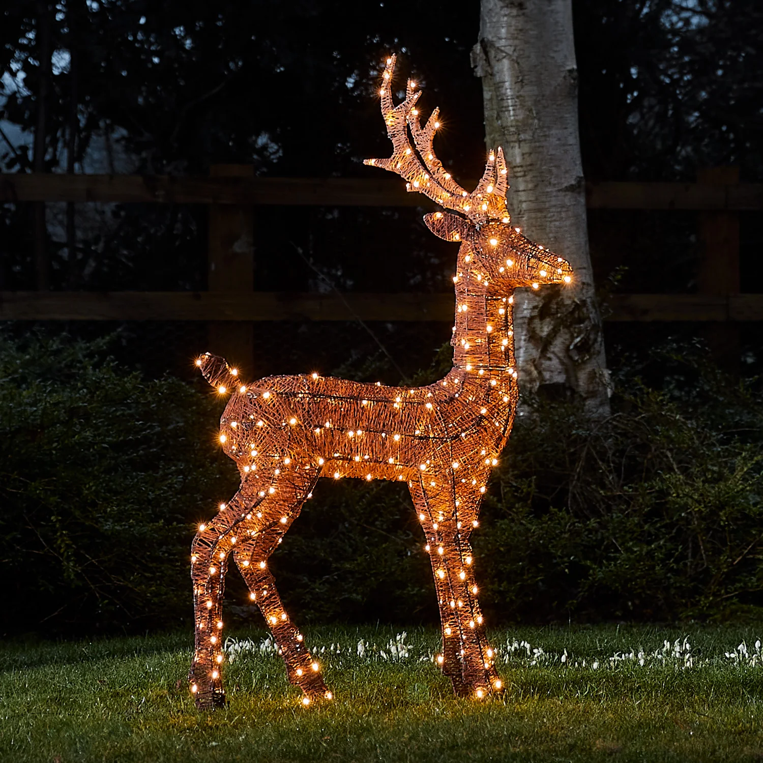 Harewood Spun Cotton Stag Light Up Reindeer 31 volts - Image 3