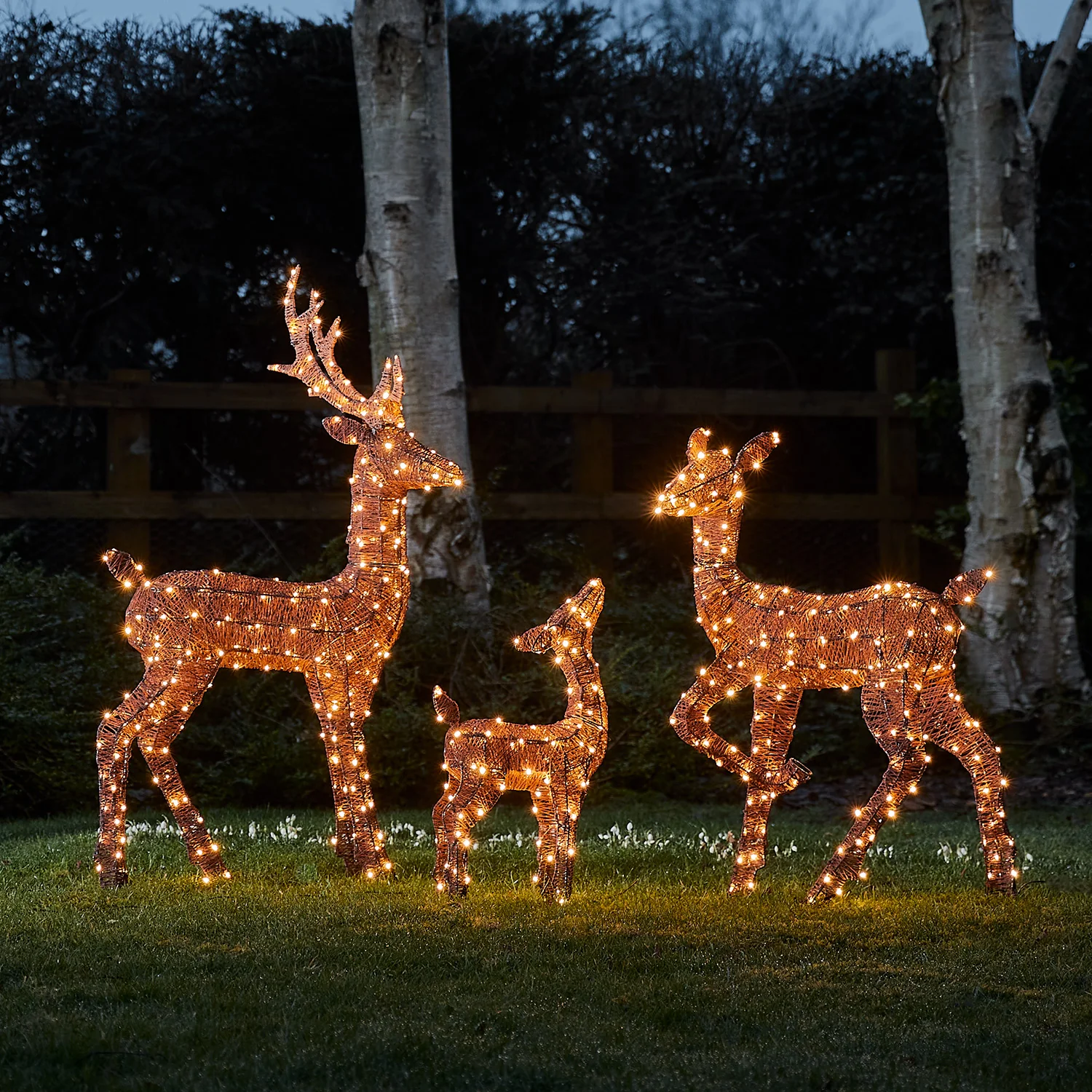Harewood Spun Cotton Stag Light Up Reindeer 31 volts - Image 5