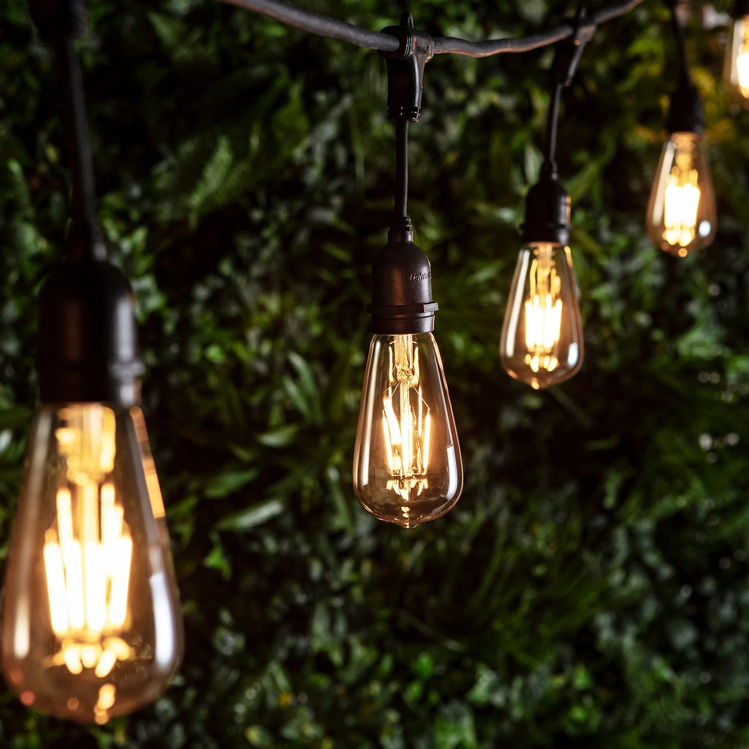 Squirrel Cage E27 1W LED Amber Filament Bulb - Image 2