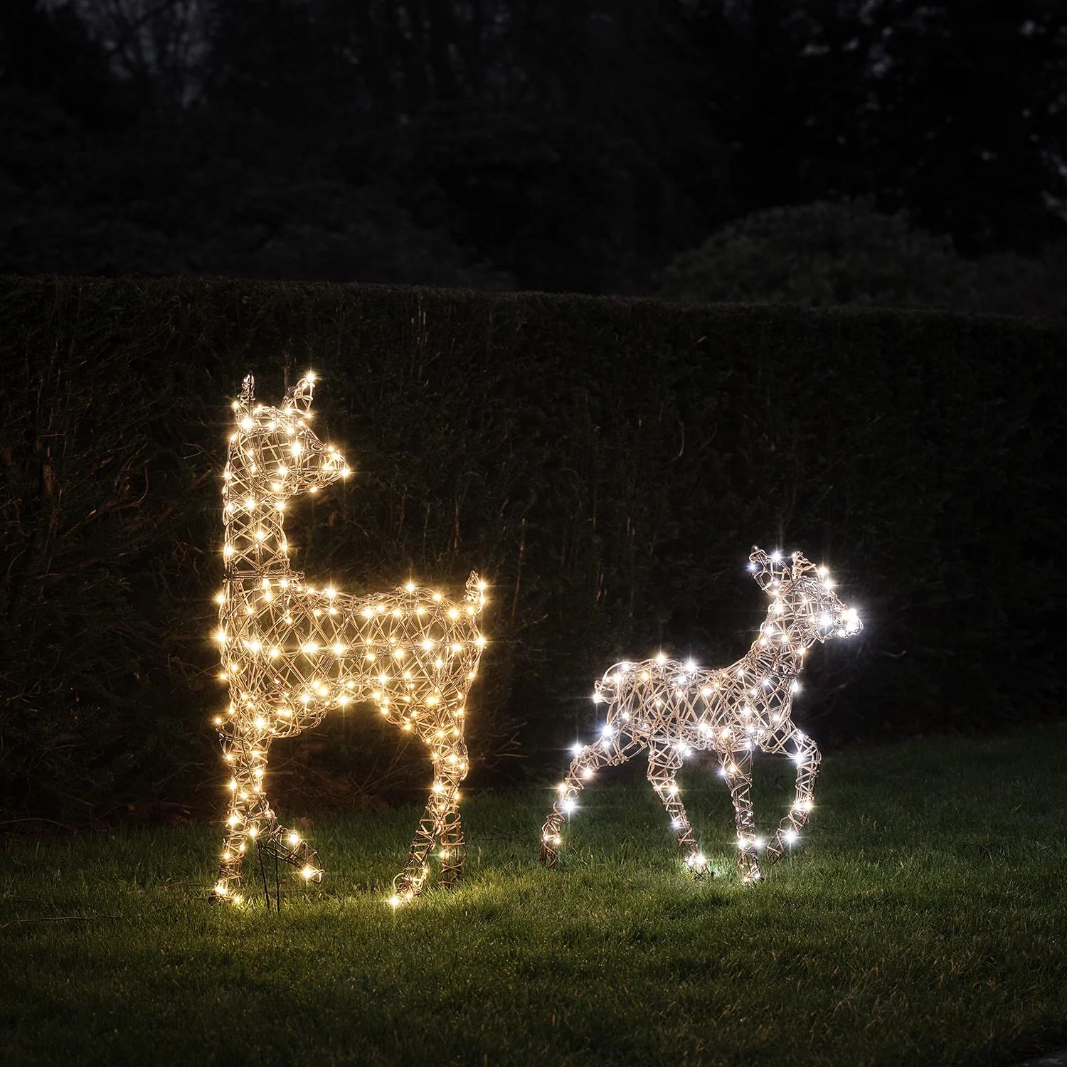 Dual LED Studley Doe & Fawn Light Up Reindeer Duo - Image 2