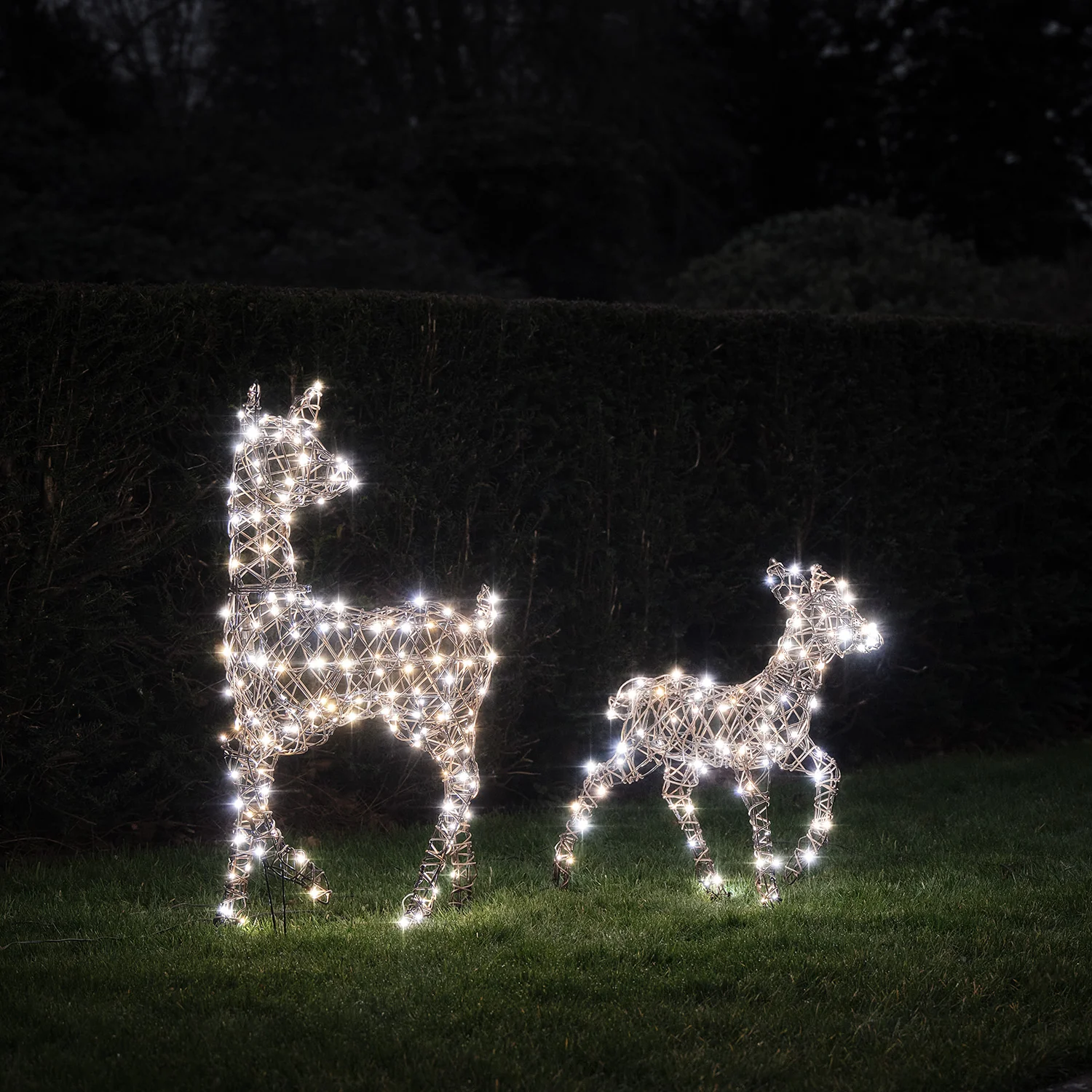 Dual LED Studley Doe & Fawn Light Up Reindeer Duo - Image 3