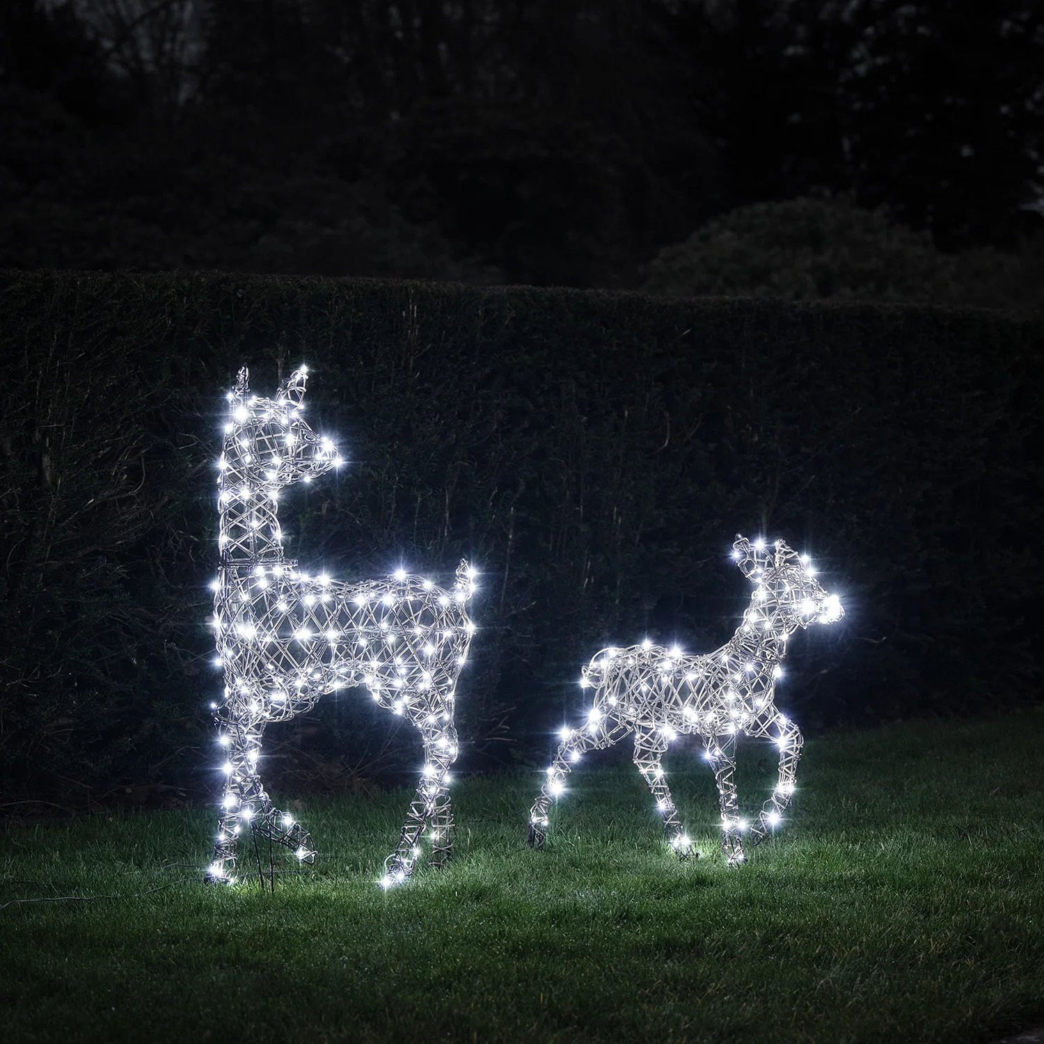 Dual LED Studley Doe & Fawn Light Up Reindeer Duo - Image 4