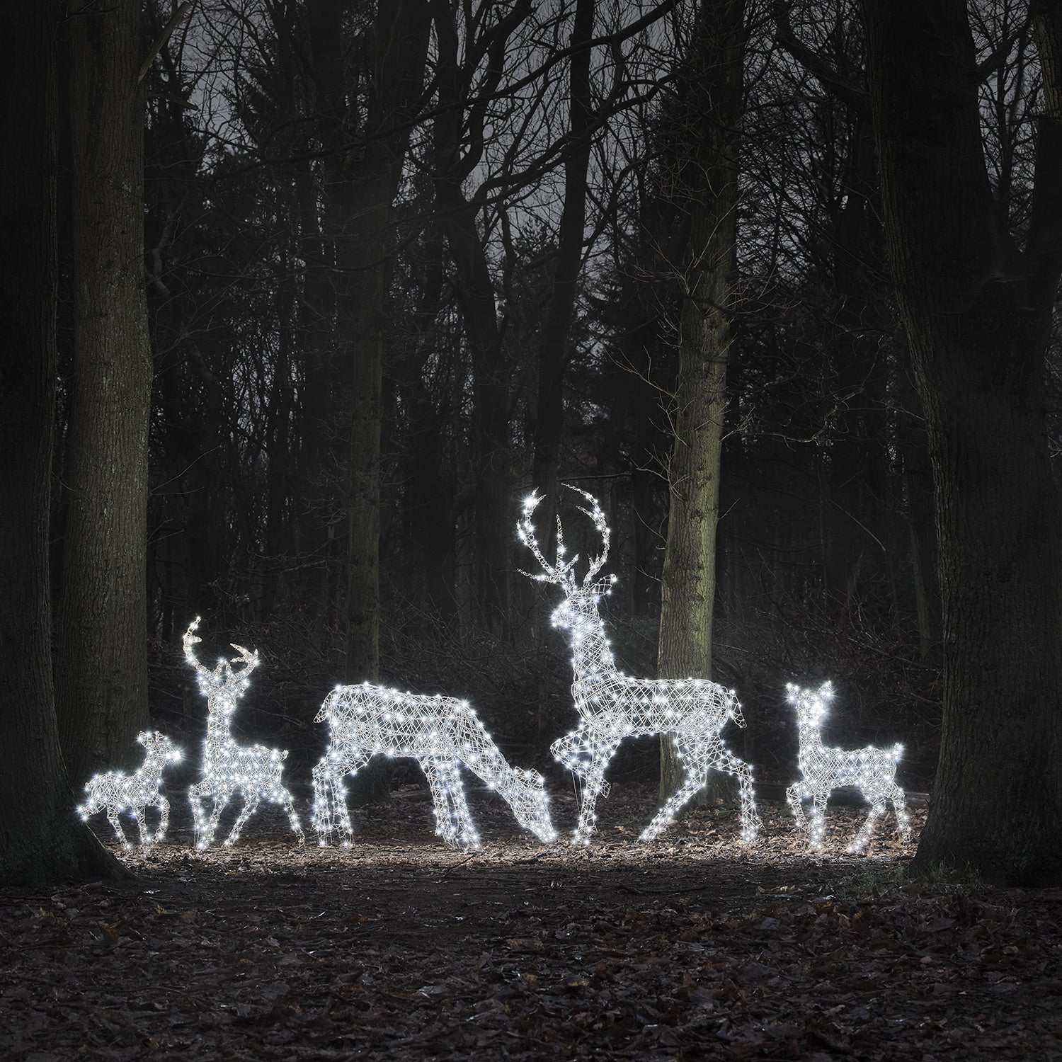 Dual LED Studley Doe & Fawn Light Up Reindeer Duo - Image 6