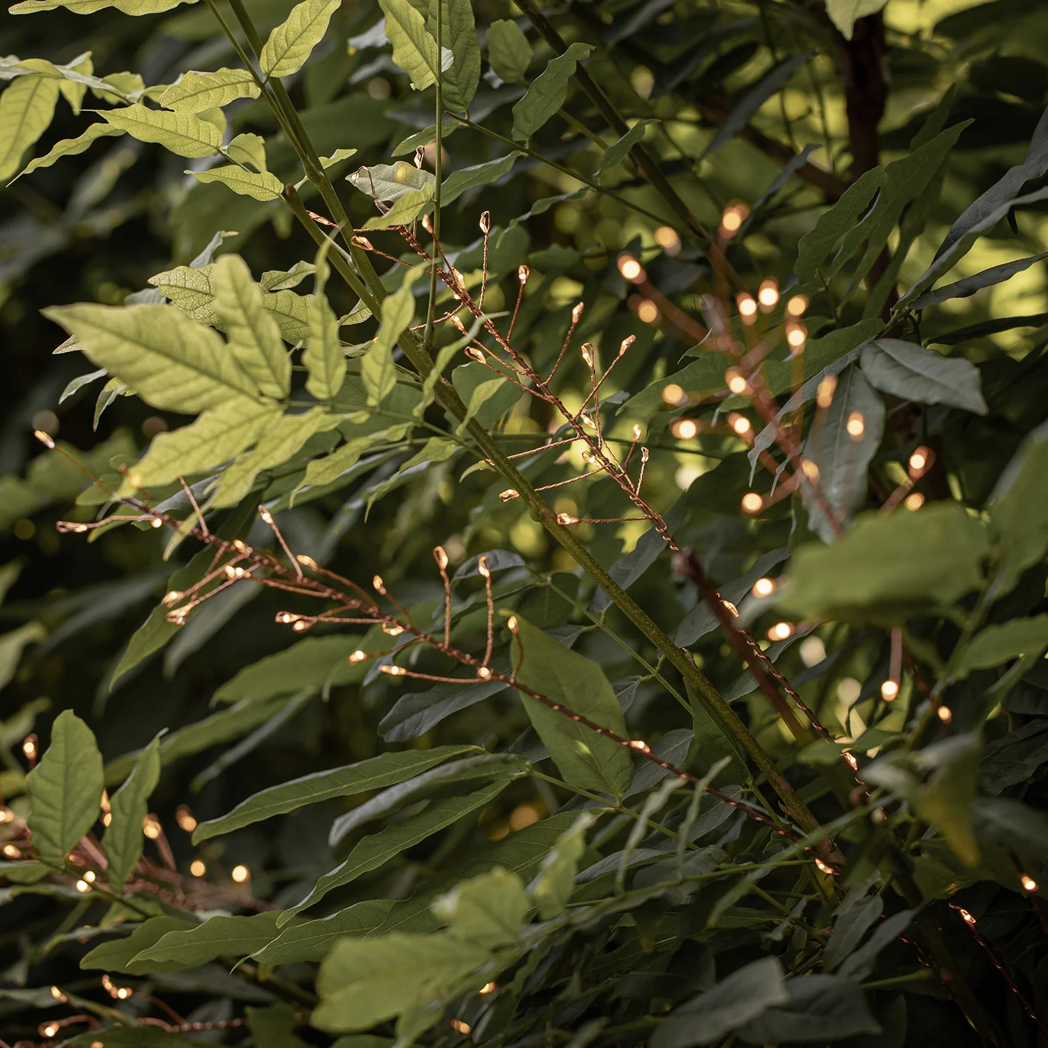 Bali Wavy Grass Solar Stake Light - Image 2